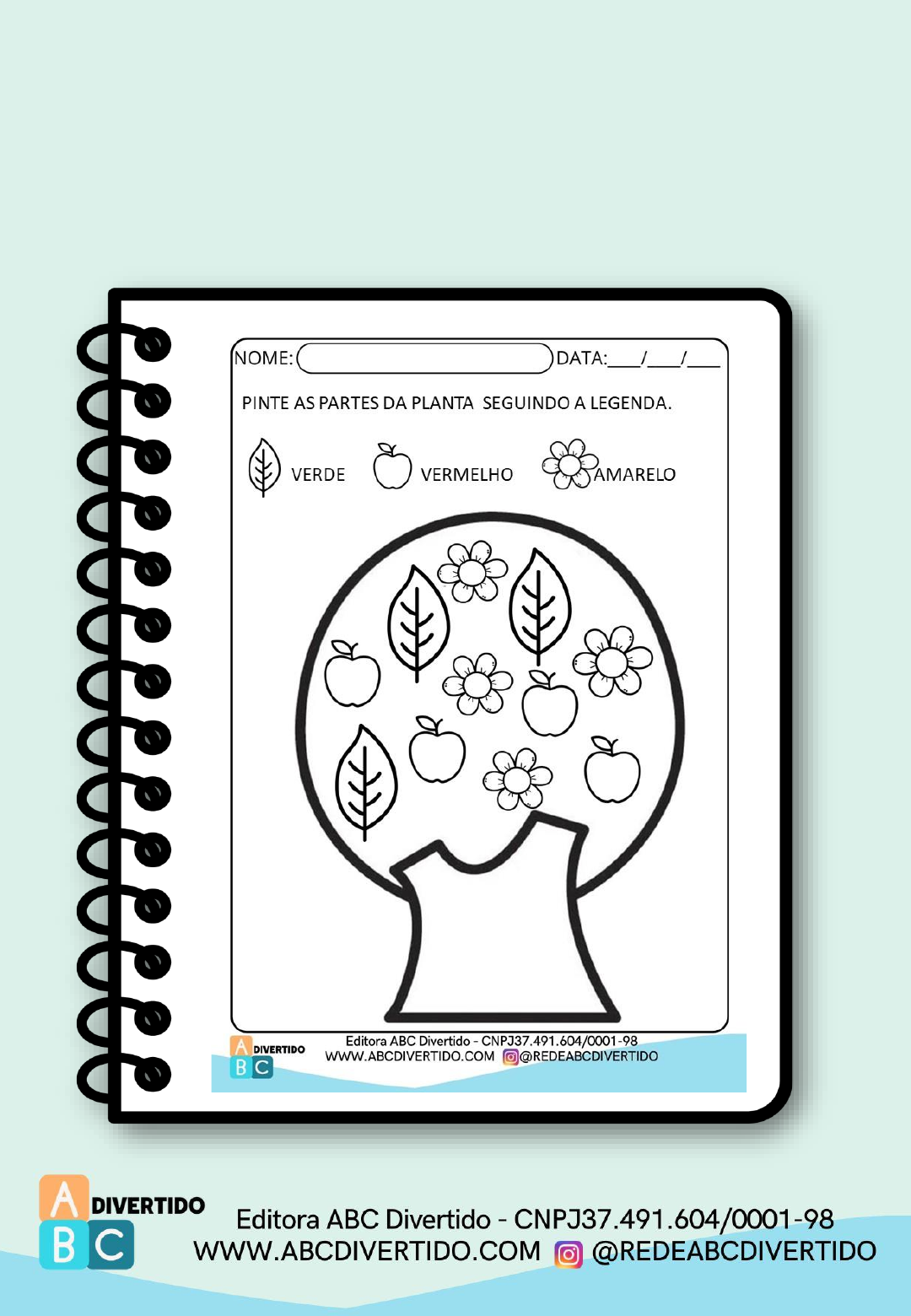 Atividades sobre as Plantas - Educação Infantil