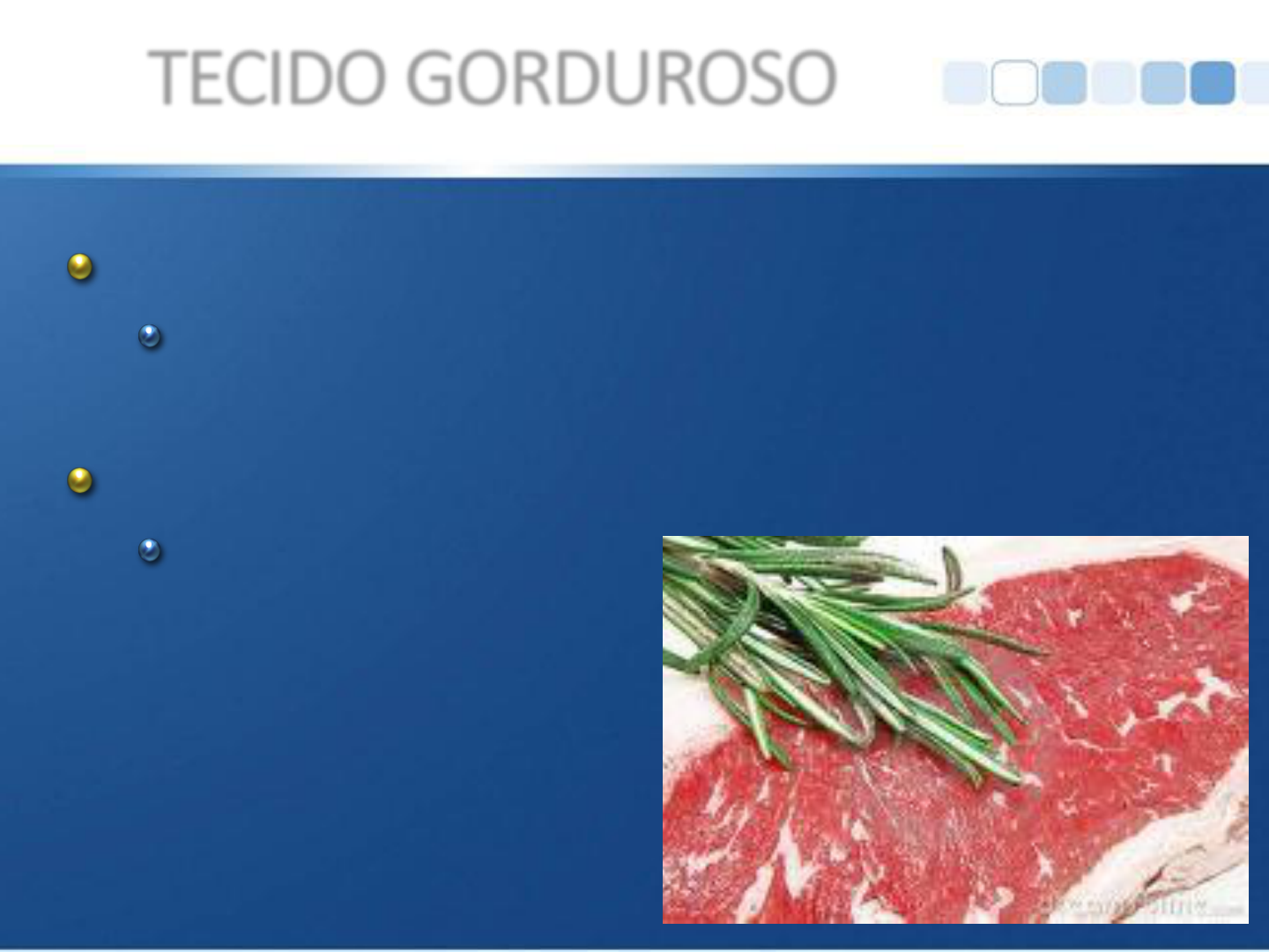 Grátis: Aula 3 Carnes - Material Claro e Objetivo em PDF para Estudo Rápido