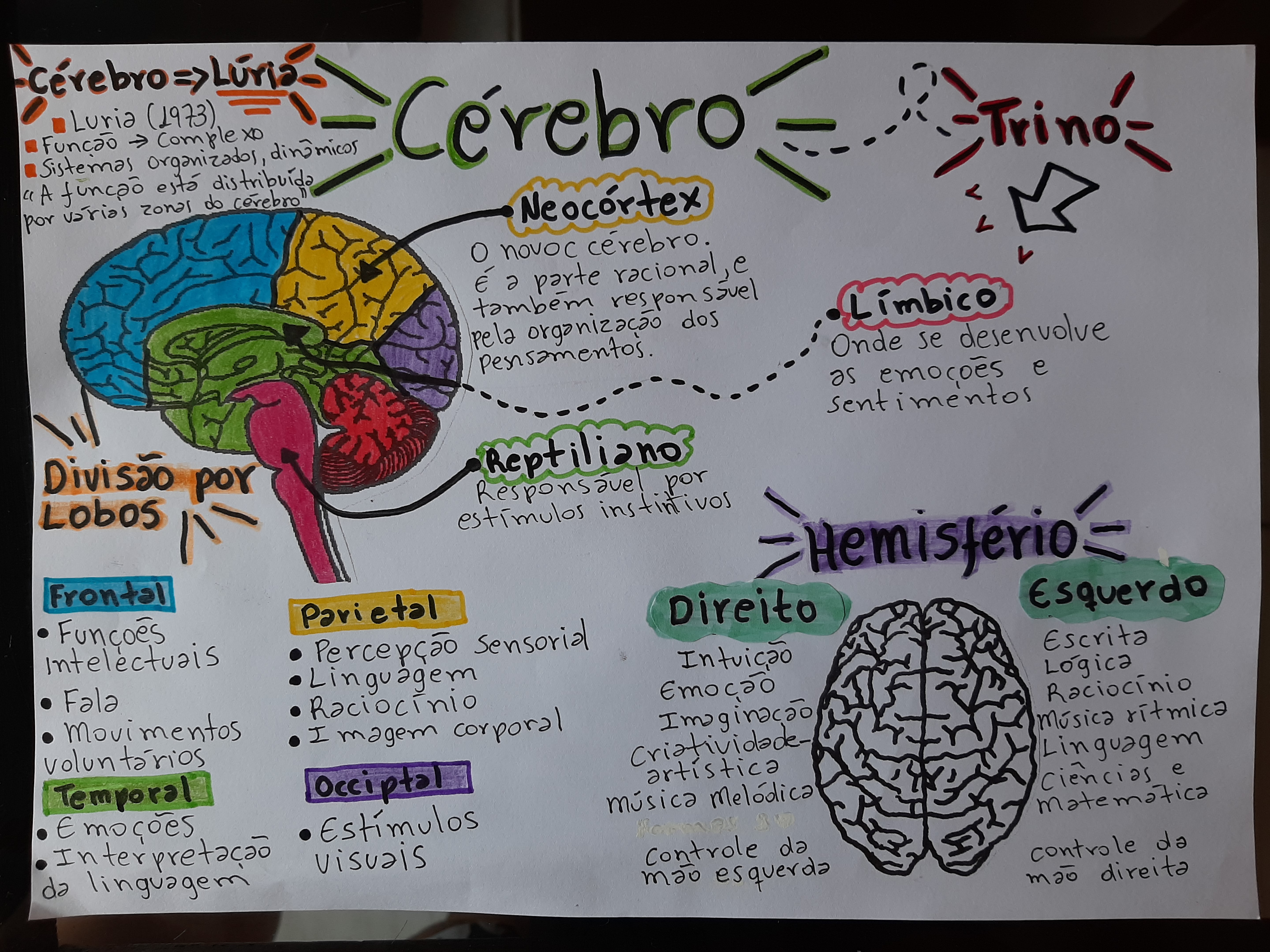 mapa mental do cérebro - Piscicomotricidade