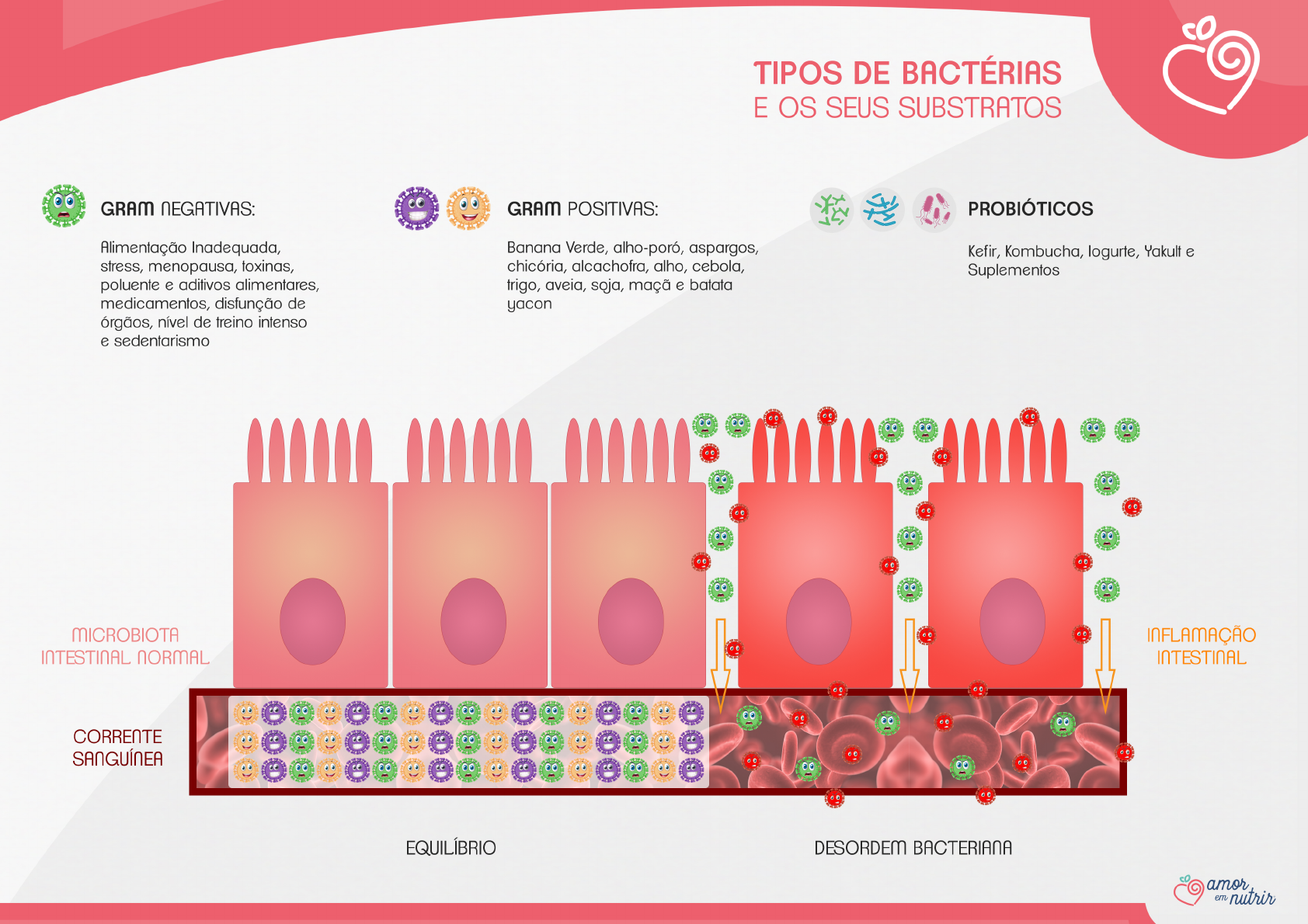 De Exemplos E Defina As Formas De Nutriçao Das Bacterias