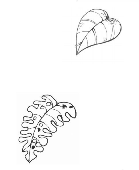 Desenho de Vegetação em Arquitetura e Urbanismo