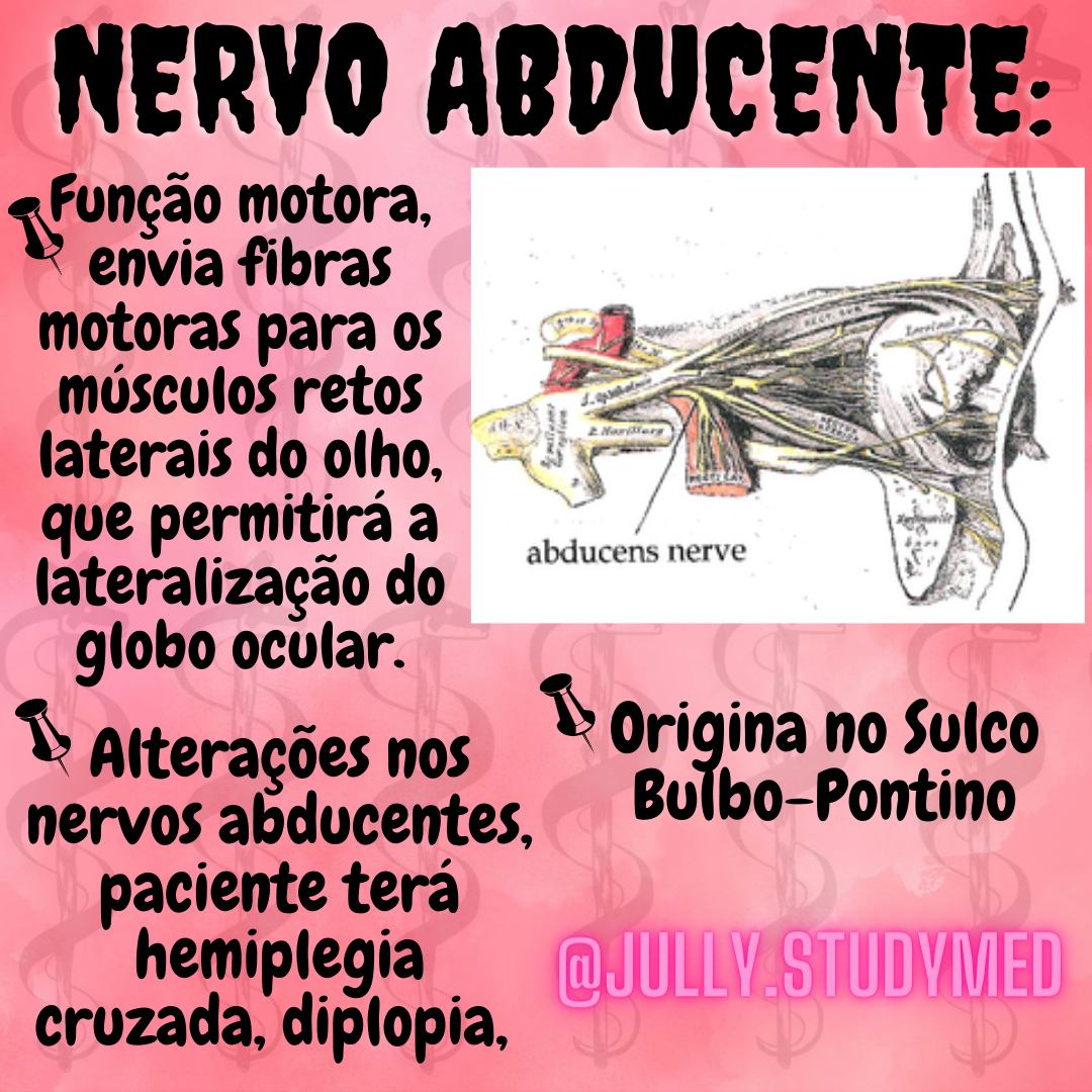 Nervo Abducente Esquema Resumo Nervos Cranianos