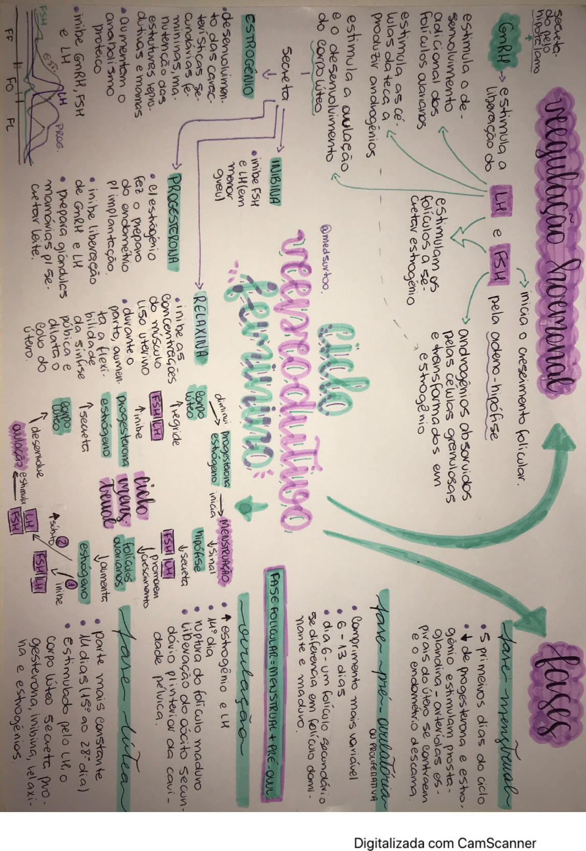 CICLO REPRODUTIVO FEMININO - MAPA MENTAL - Ginecologia