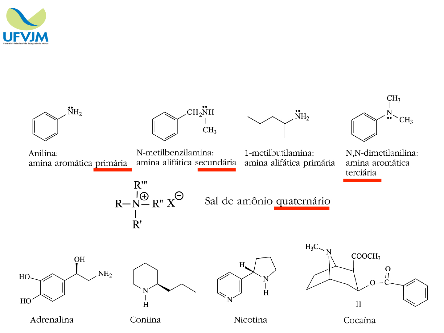 Grátis: Aula 13 - Aminas e alcaloides - Material Claro e Objetivo em PDF  para Estudo Rápido, image size:1440x1080