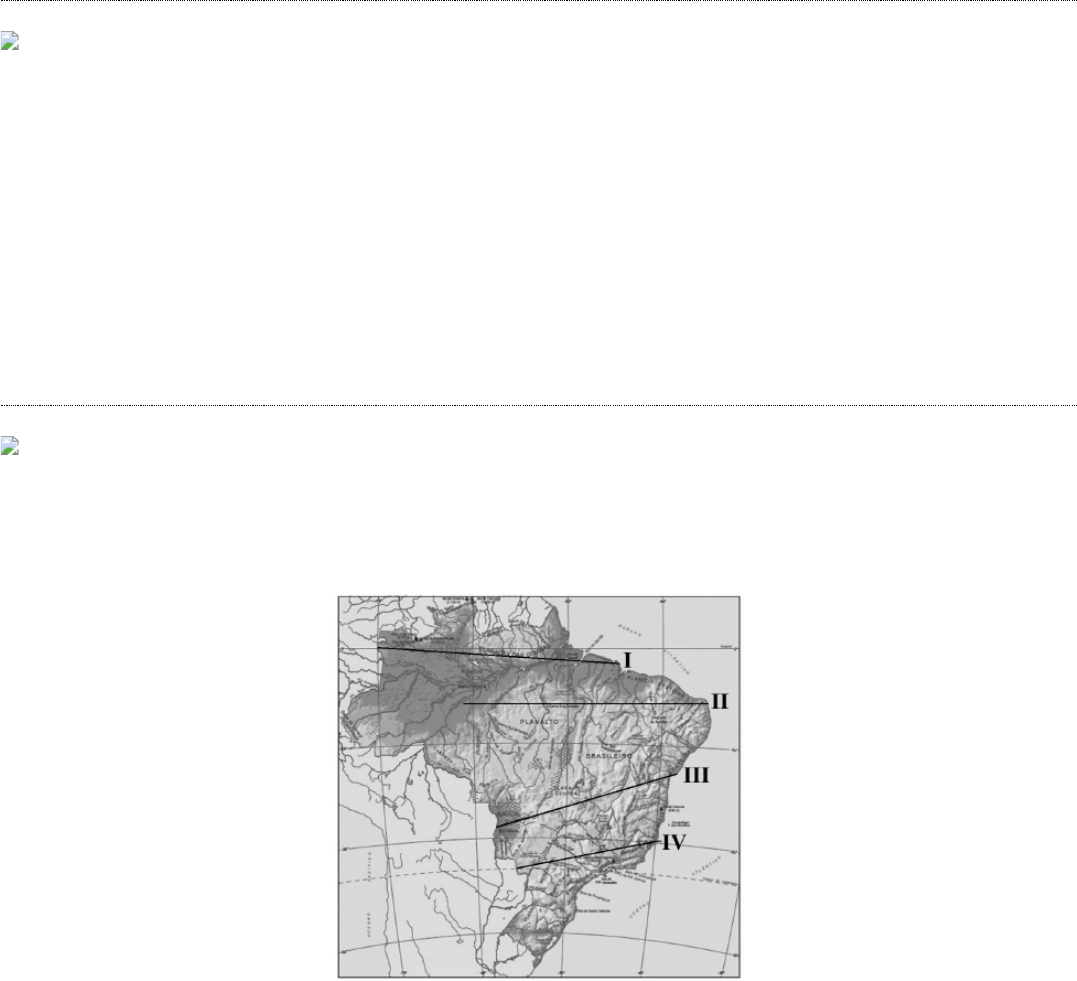 Questão Analise o mapa do Estado de Rondônia abaixo. Sobre aspectos  geográficos do estado de Rondônia, marque V para