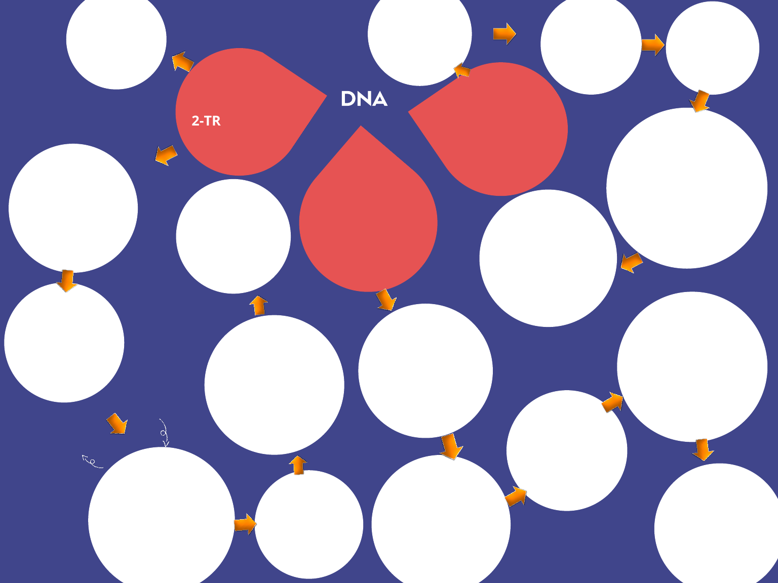 Mapas Mentais sobre DUPLICAÇÃO DO DNA - Study Maps  Duplicação do dna,  Replicação do dna, Transcrição e tradução