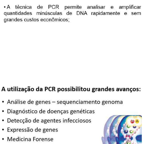 Prova Bio Mol Ufla Resumo Biologia Molecular