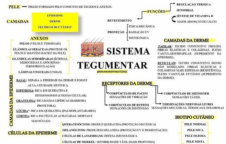 Sistema Tegumentar - Mapa mental - Sistema Tegumentar