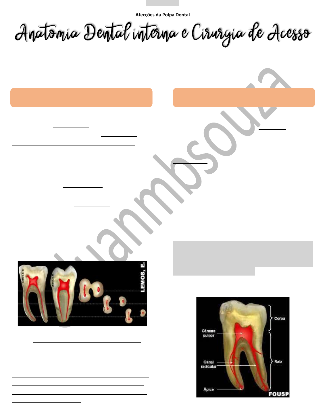 Mestre da Cirurgia – Apps no Google Play