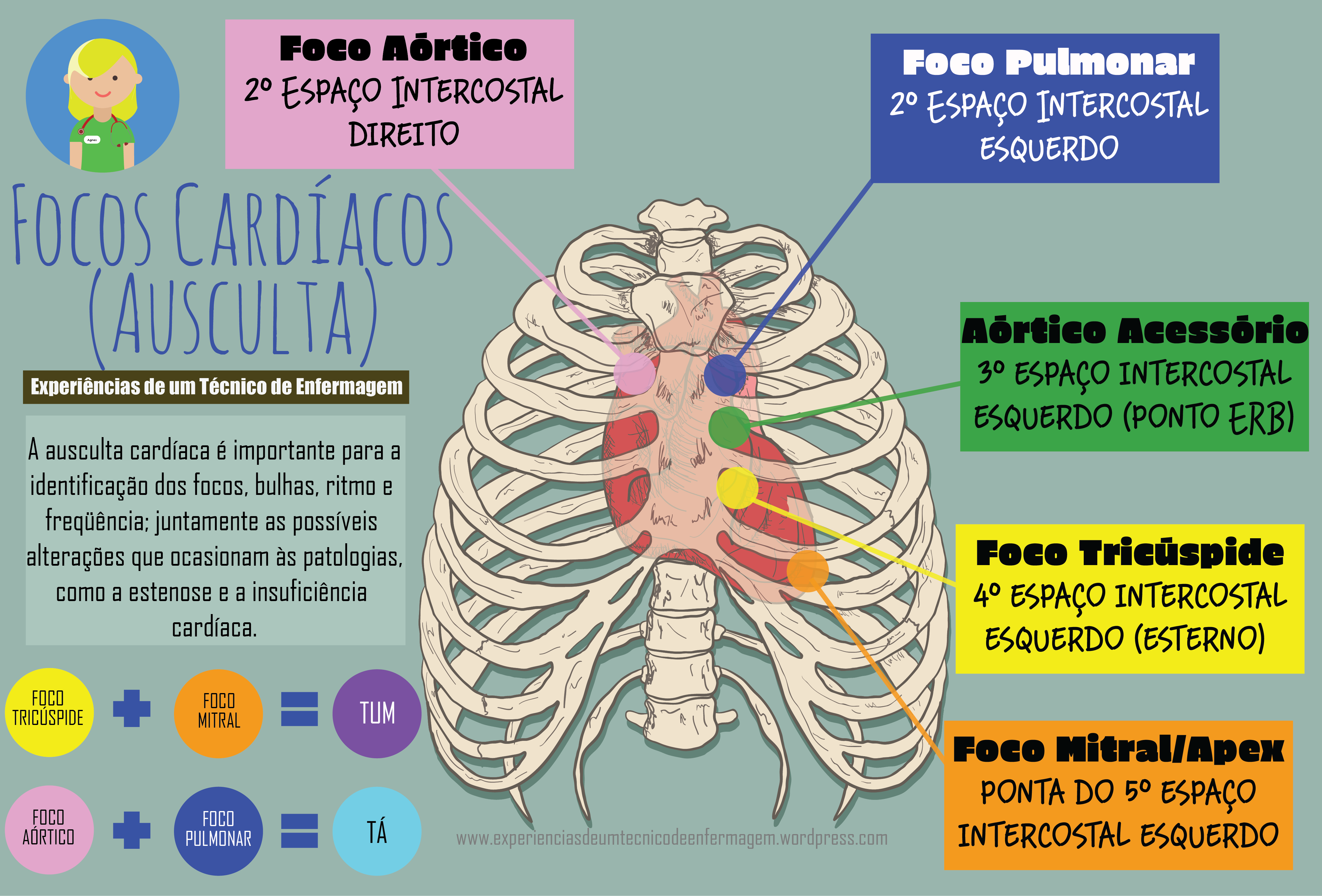 Foco ausculta cardíaca - Semiologia e Semiotécnica de Enfermagem