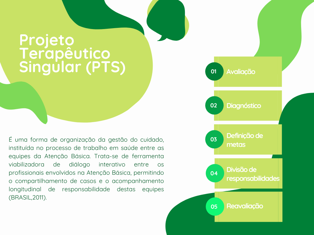 (Pdf) Projeto Terapêutico Singular Na Atenção À Saúde Mental