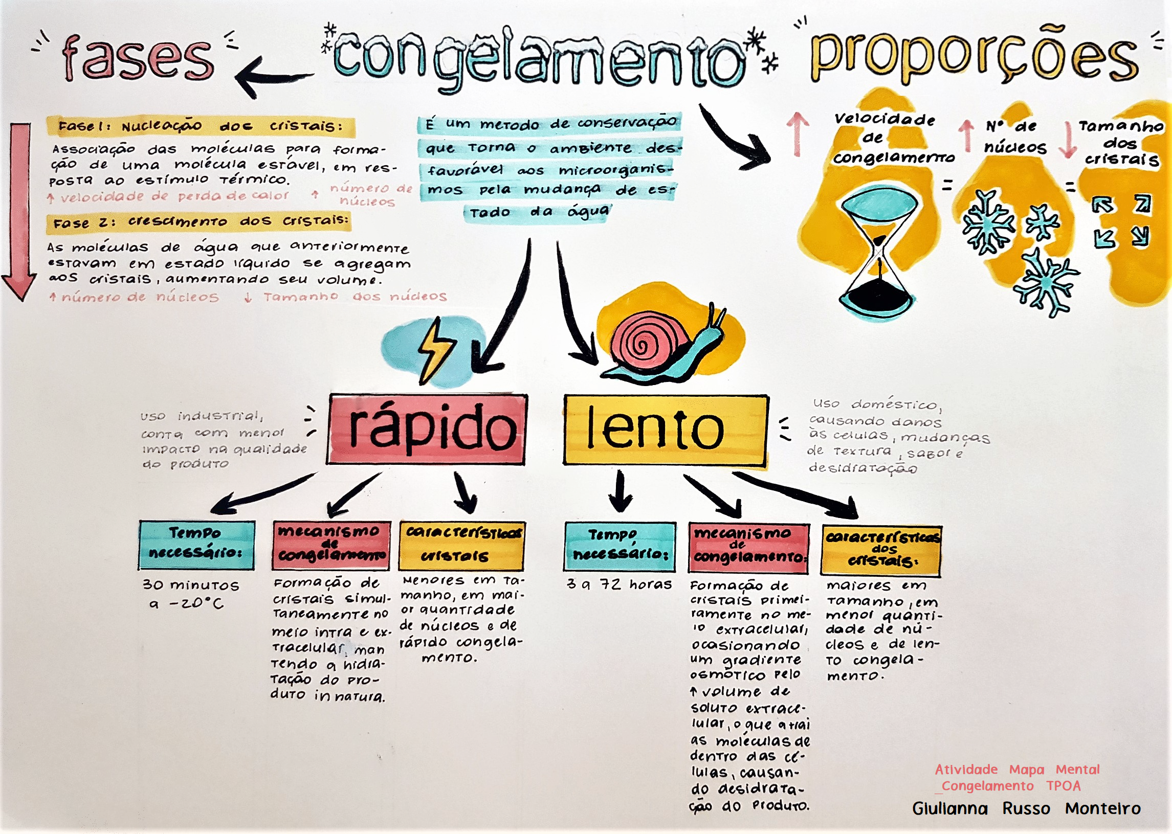 Mapa Mental sobre Congelamento | Tecnologia de Produtos de Origem Animal - Tecnologia  de Produtos de Origem Animal