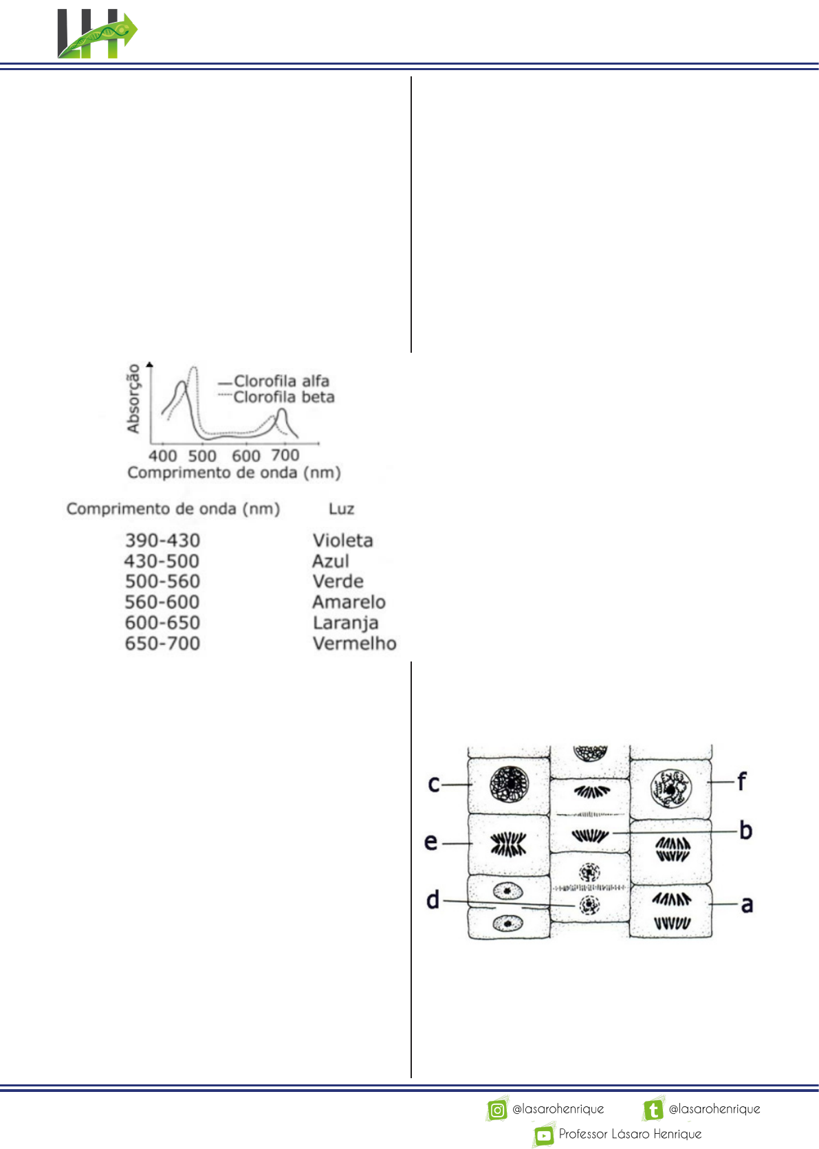 Imagem gratuita: mexilhão de água doce, água doce, debaixo d'água, Rio,  lama, terreno, natureza, água, areia, Lago, image size:1191x1671