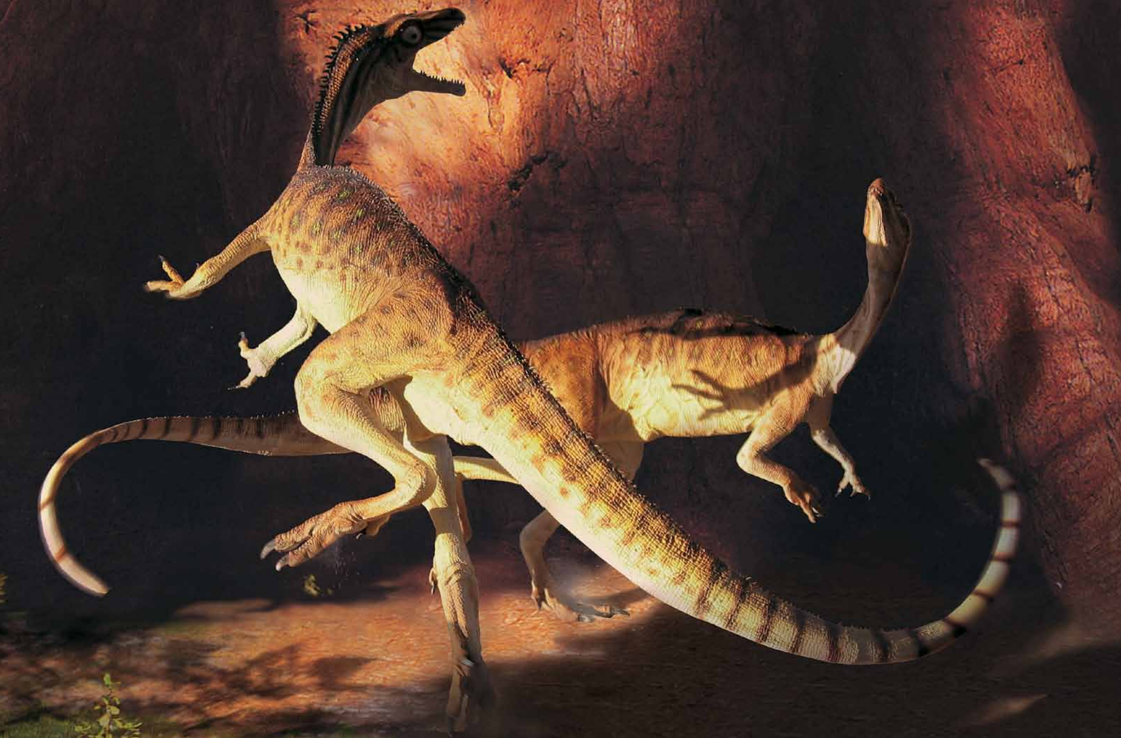 Grátis: Evolução da Terra e dos Dinossauros - Material Claro e Objetivo em  PDF para Estudo Rápido, image size:2290x1508