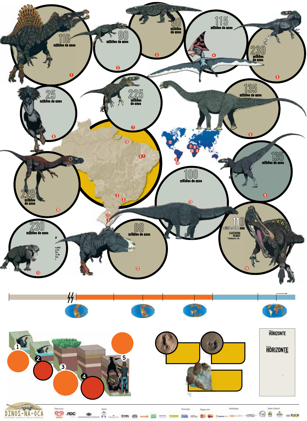 Quais são alguns animais pré-históricos encontrados na sua área? :  r/Paleontology, image size:1046x1435