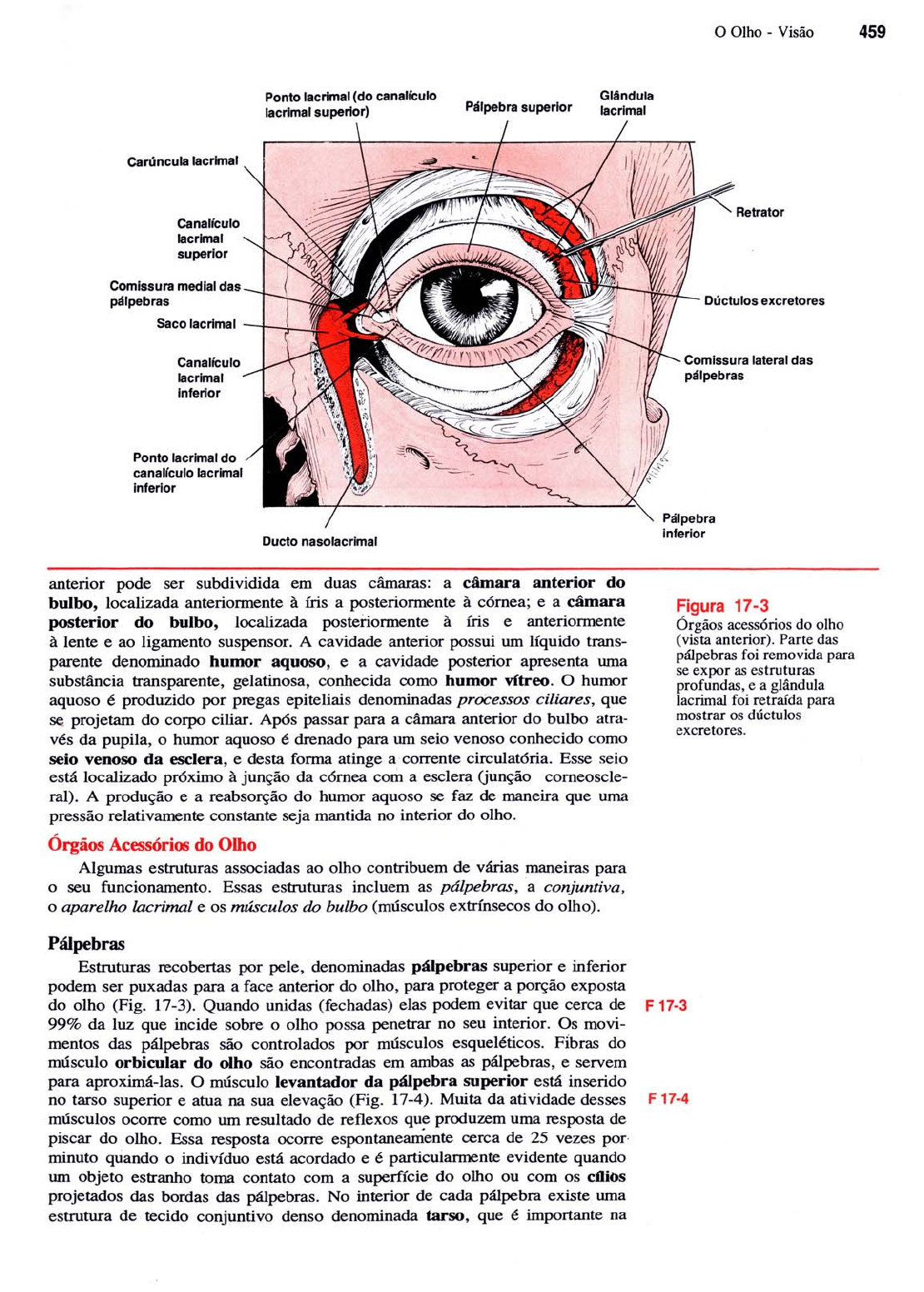 caoftalmologia