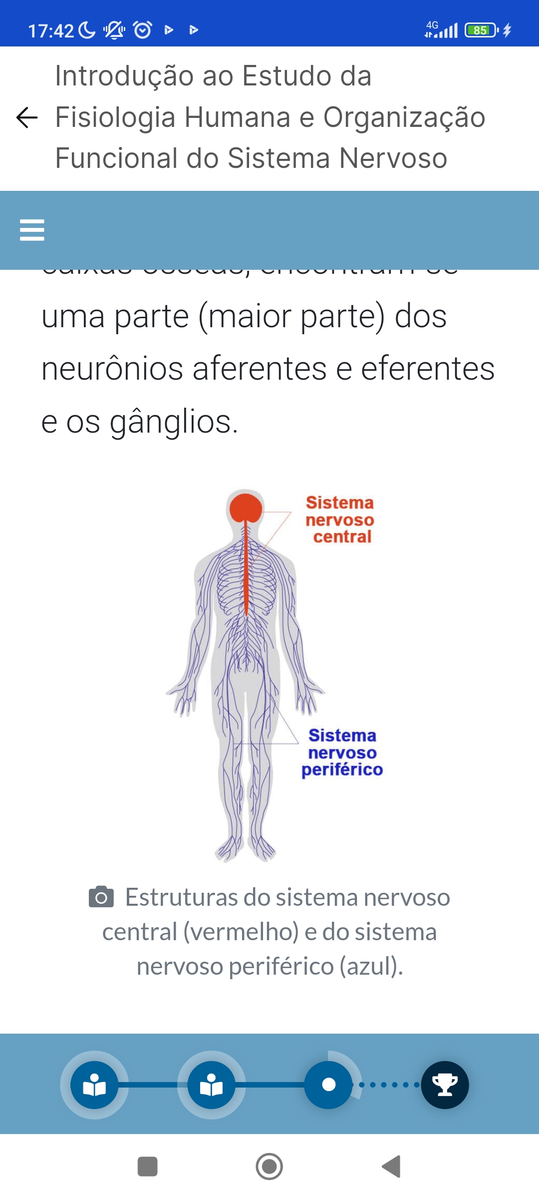 SNC SNP - Fisioterapia Geral