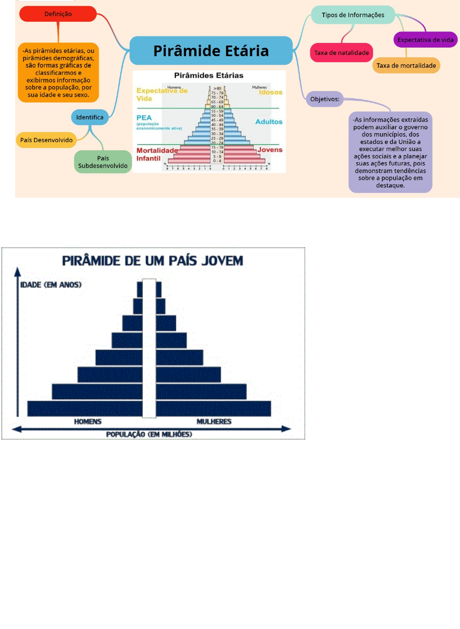 Diferentes tipos de piramides etarias e Atividade em dupla - Geografia