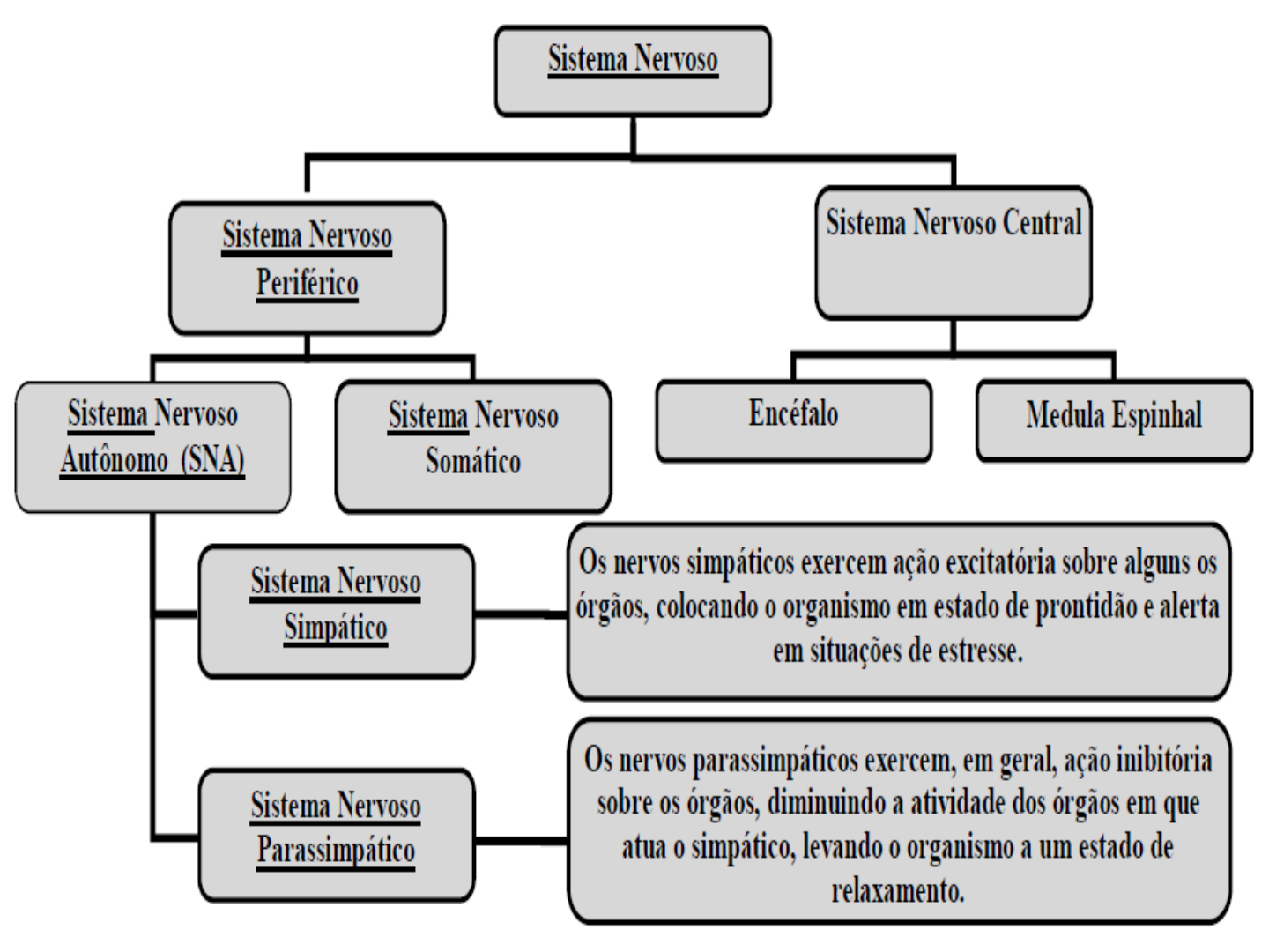 Fi aula-5-farmacologia-sna-completo