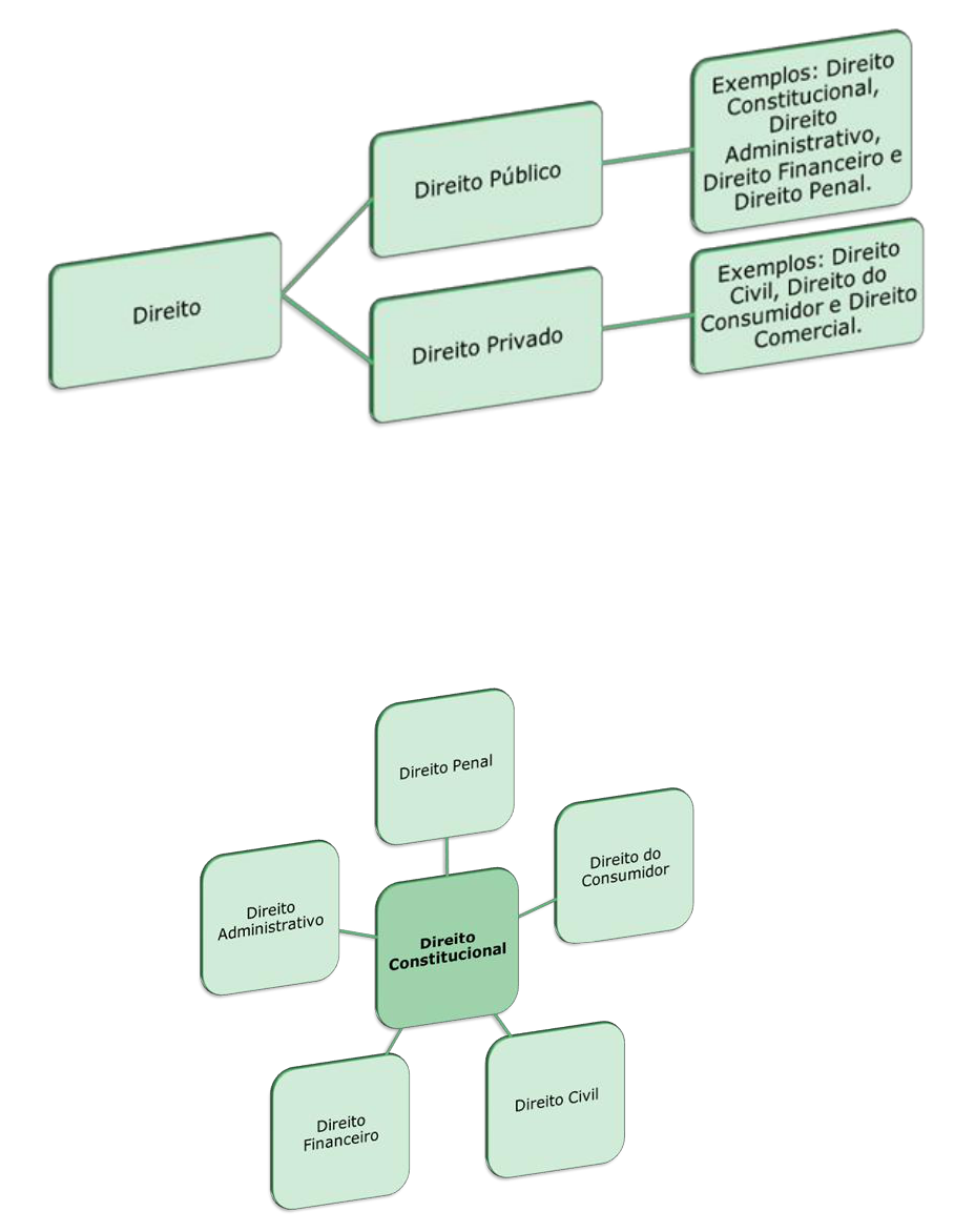 Introdução ao Direito Constitucional Módulo I - Direito Constitucional I