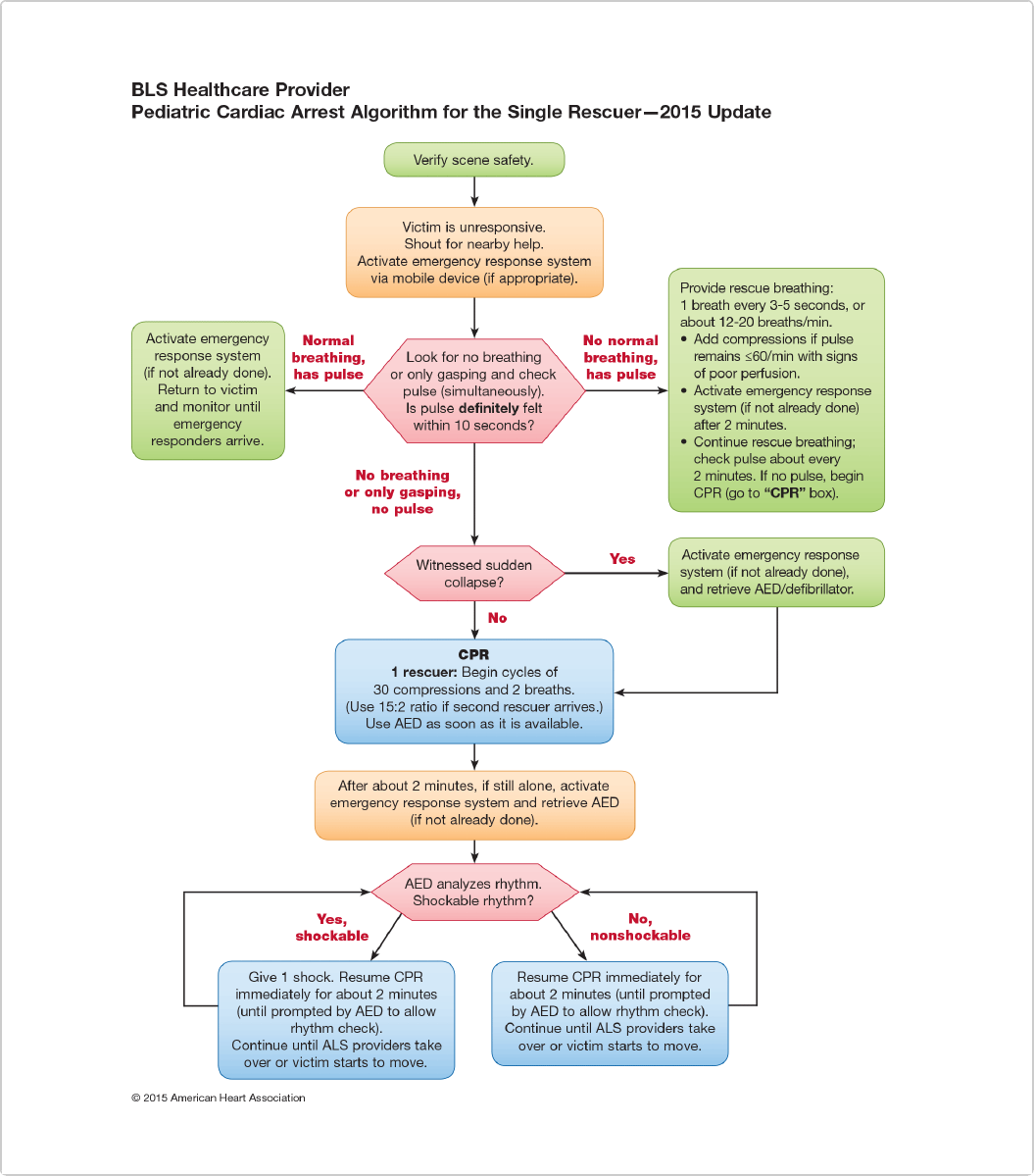 BLS Infant And Child Algorithm ACLS Medical Training, 45% OFF