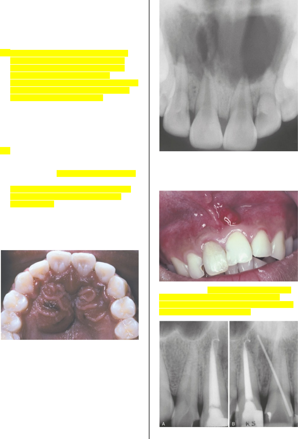 Ano 2021, image size:1047x1541