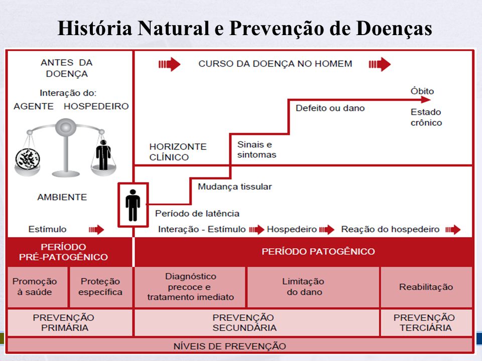 História+Natural+e+Prevenção+de+Doenças - Epidemiologia