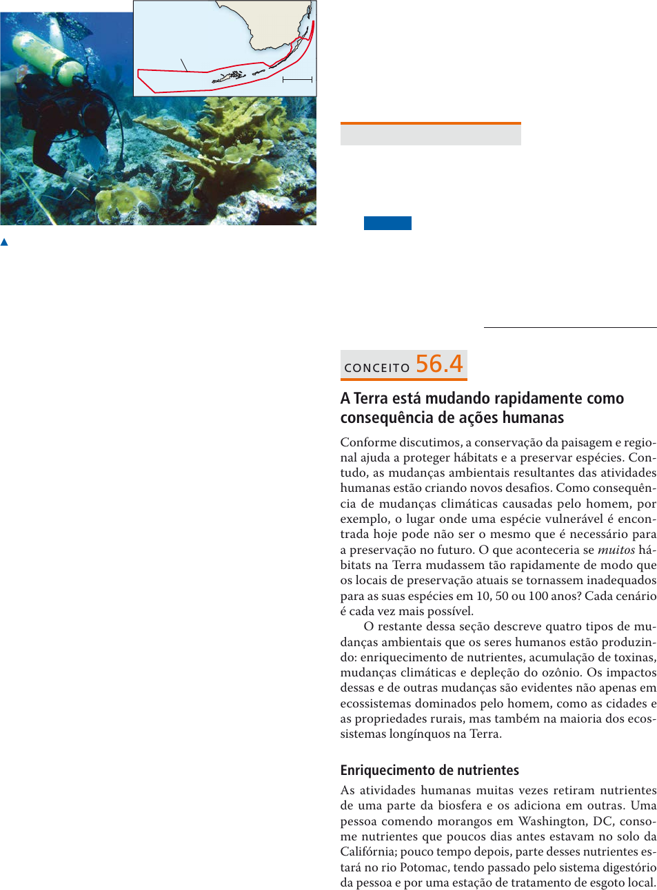 Biblioprof Tab | PDF | Algae | Canary Islands, image size:953x1292