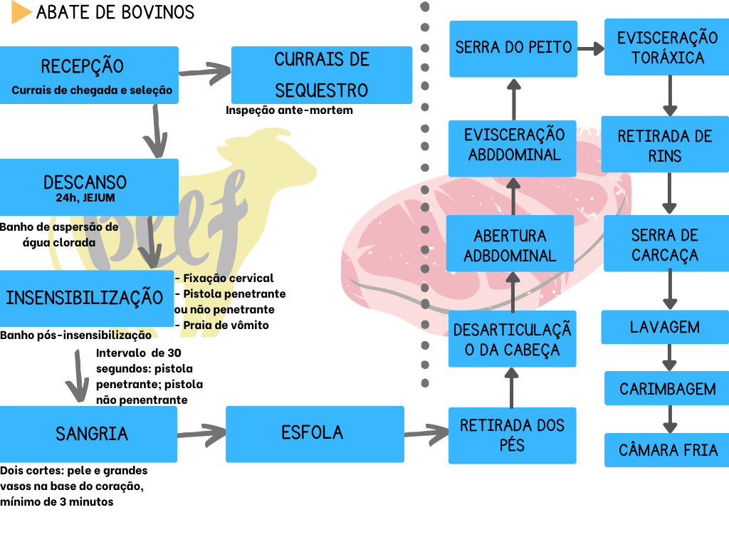 Fluxograma Abate De Carne Bovina Tecnologia De Carnes Pescados E Derivados