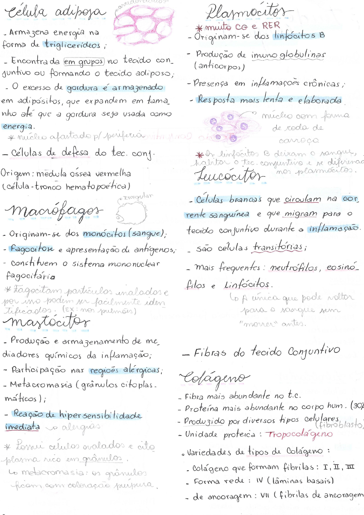 Tecido Conjuntivo Histologia I