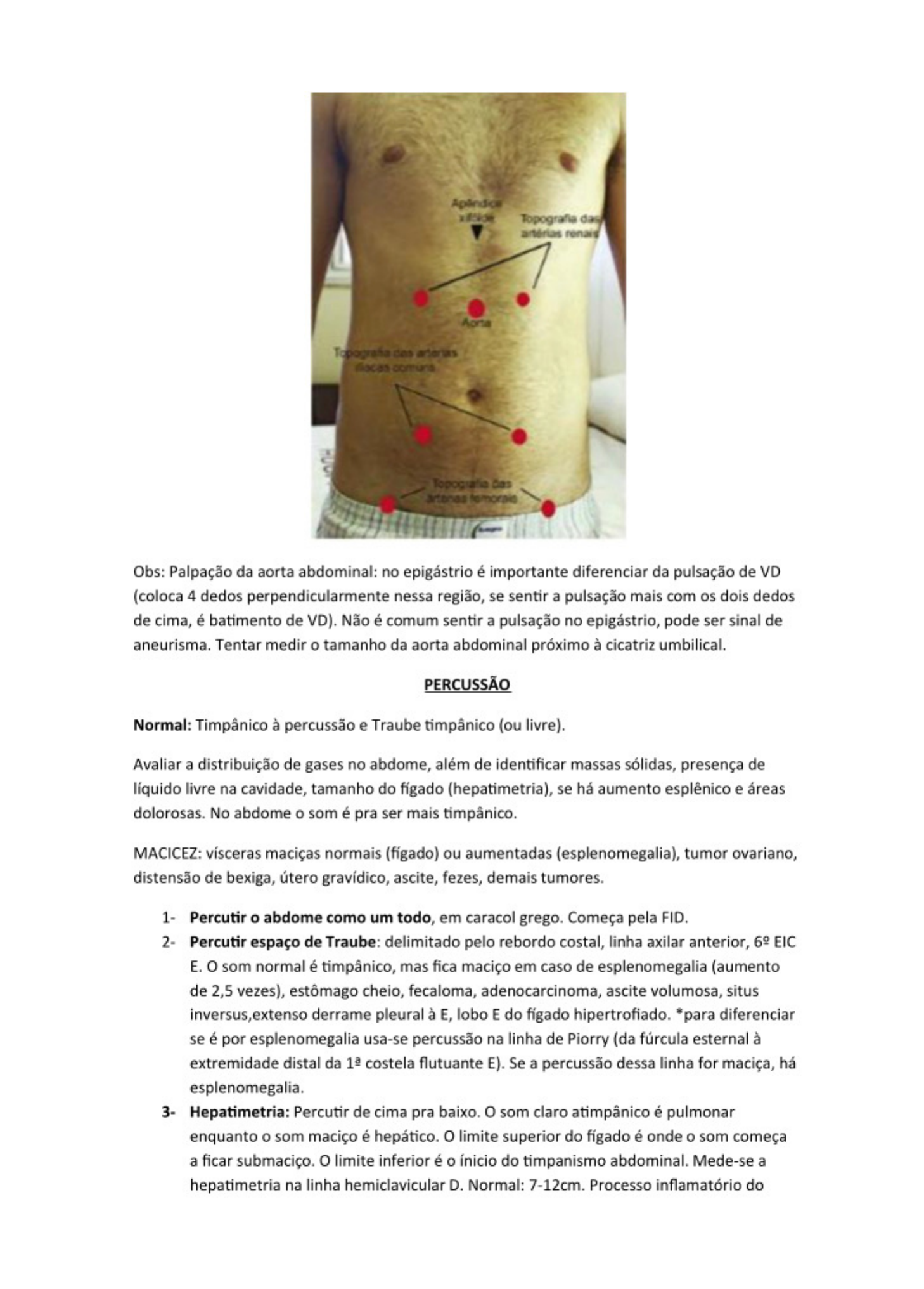 Semiologia Do Abdome Semiologia Médica 1051