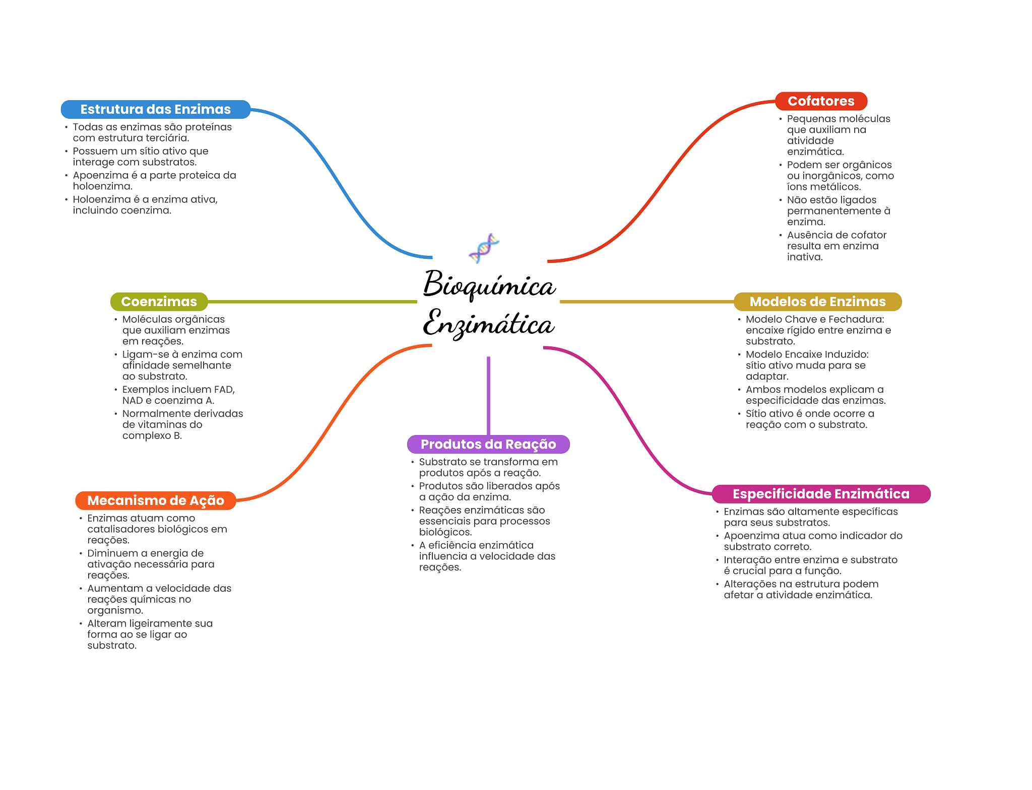 Grátis: Mapa Mental - Bioquímica Enzimática - Material Claro e Objetivo em  PDF para Estudo Rápido, image size:2048x1569