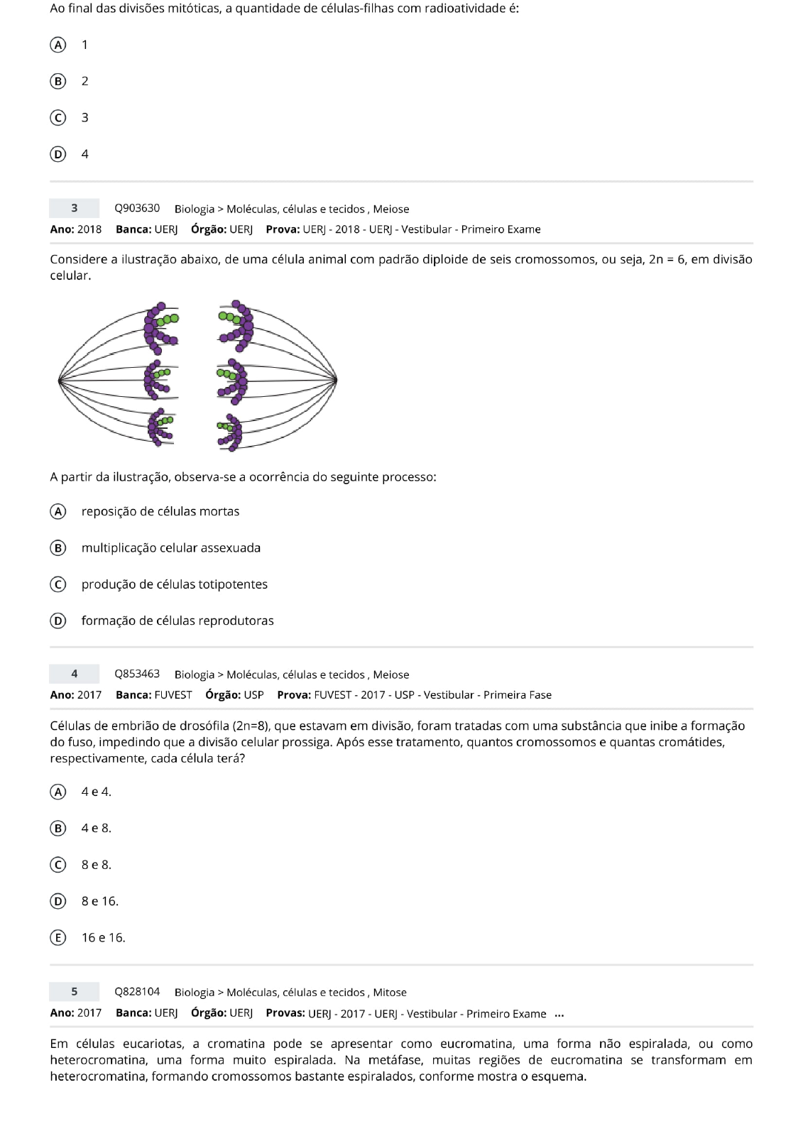 Questões Mitose E Meiose - BINKEDU