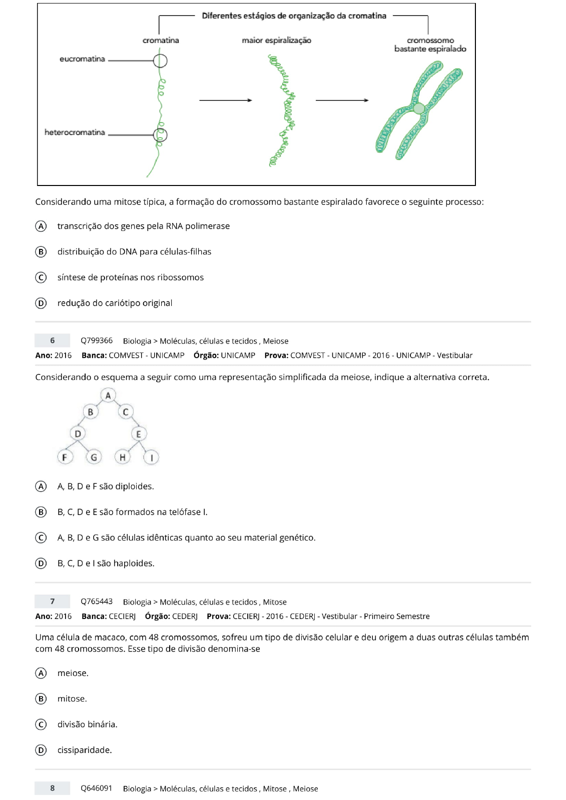 Lista De Quest O Mitose E E Meiose Biologia