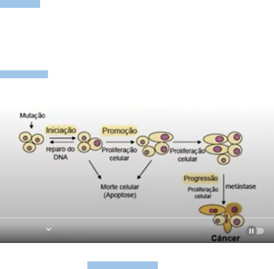 progressão da promoção da iniciação da carcinogênese