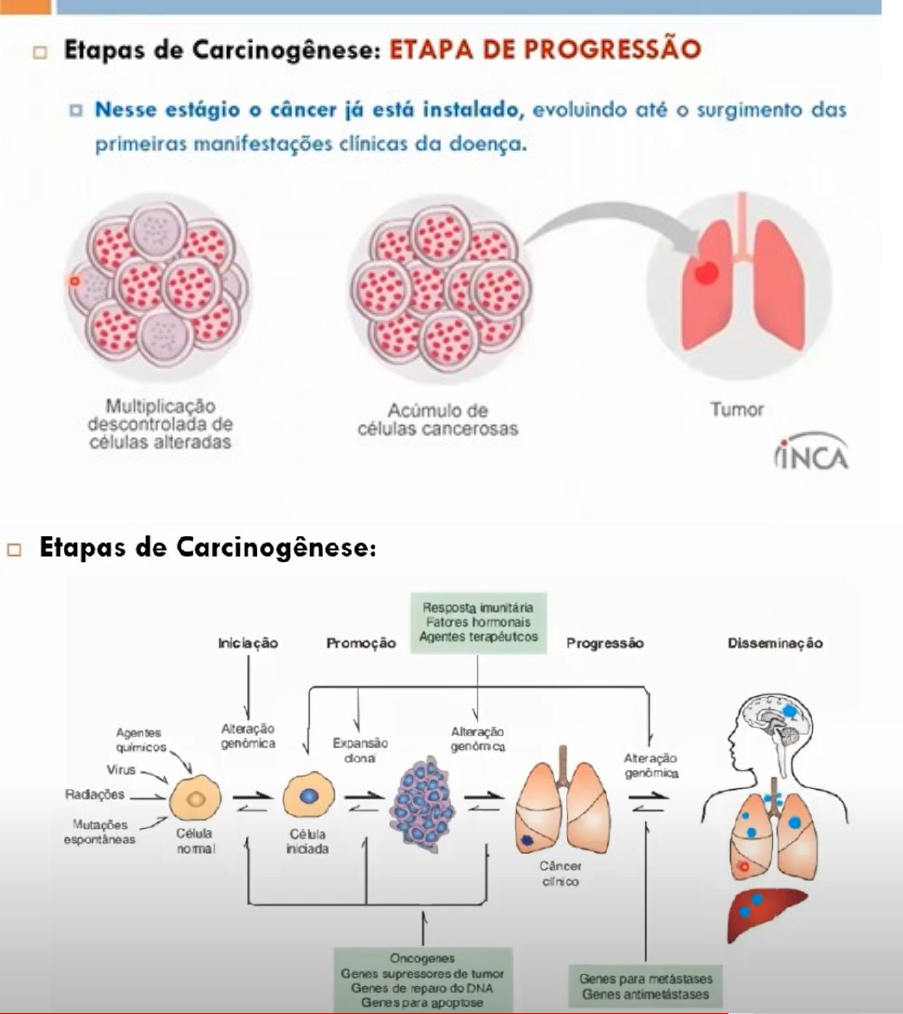 progressão da promoção da iniciação da carcinogênese