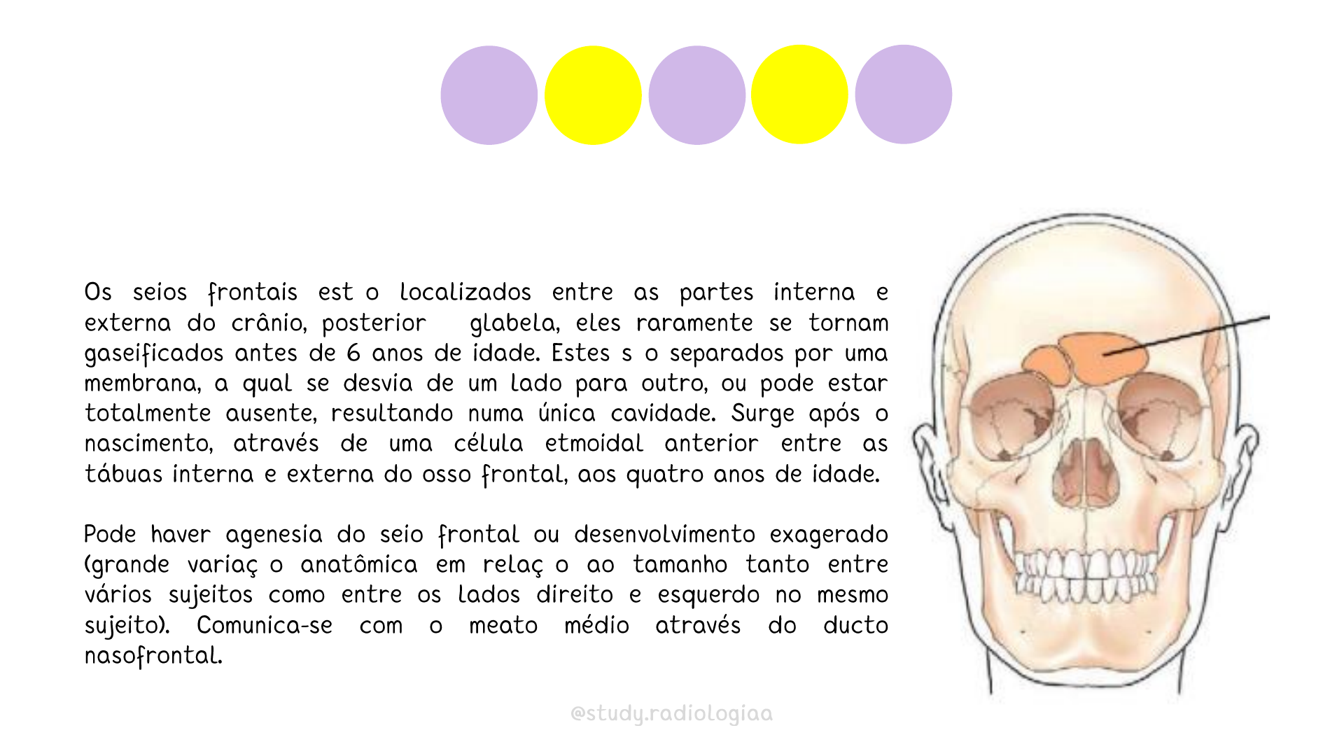 Seios frontal - Anatomia Humana I