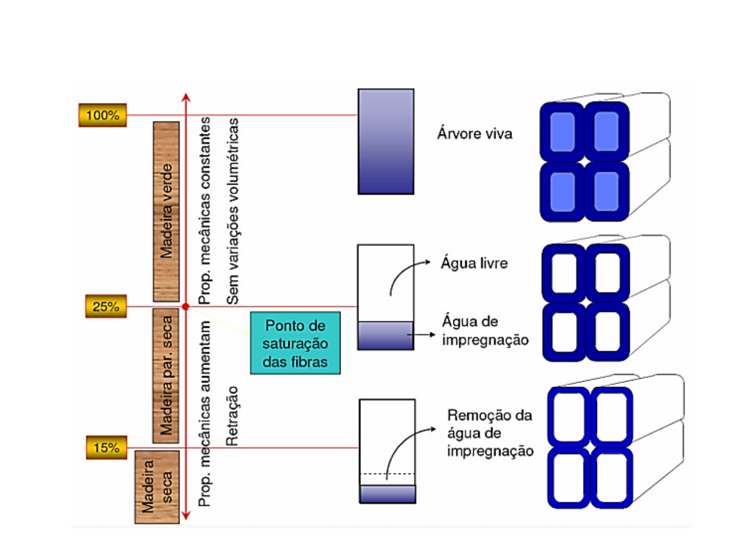 Estruturas de Madeira - Aula 3 - Propriedades Físicas e Mecânicas 