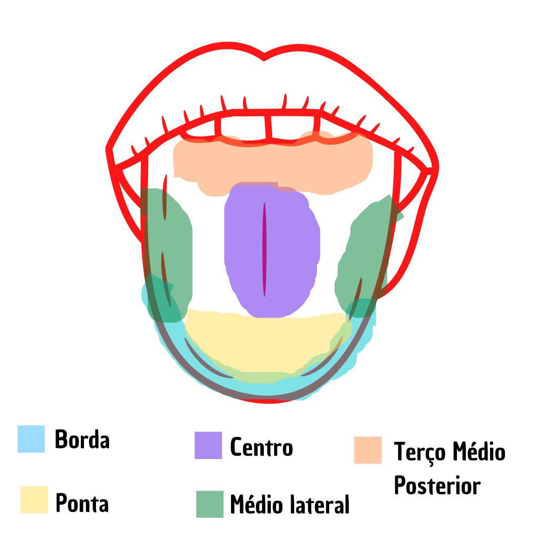 lingua franca sweaters