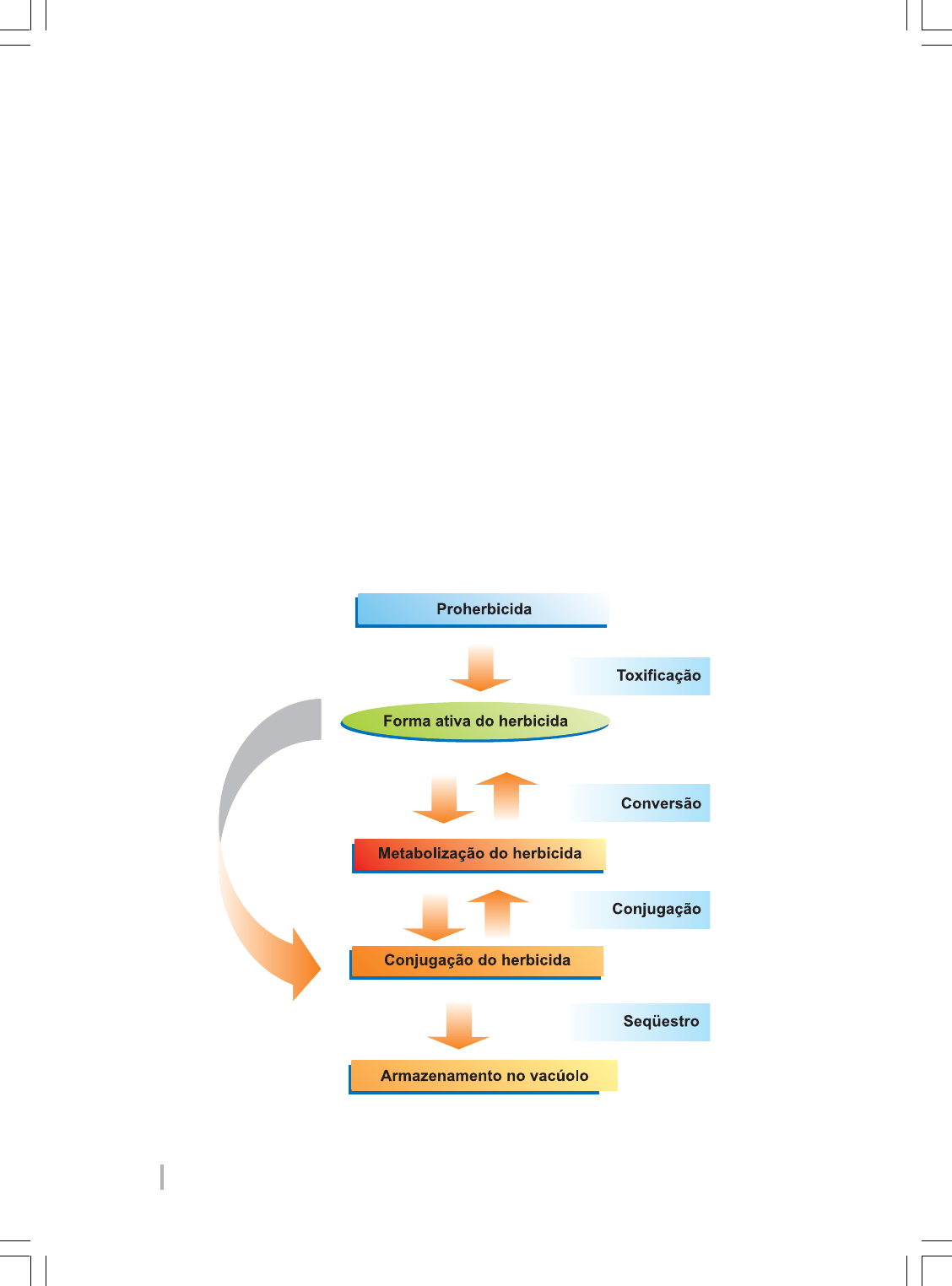 Grátis: Como funcionam os herbicidas - Material Claro e Objetivo em PDF  para Estudo Rápido