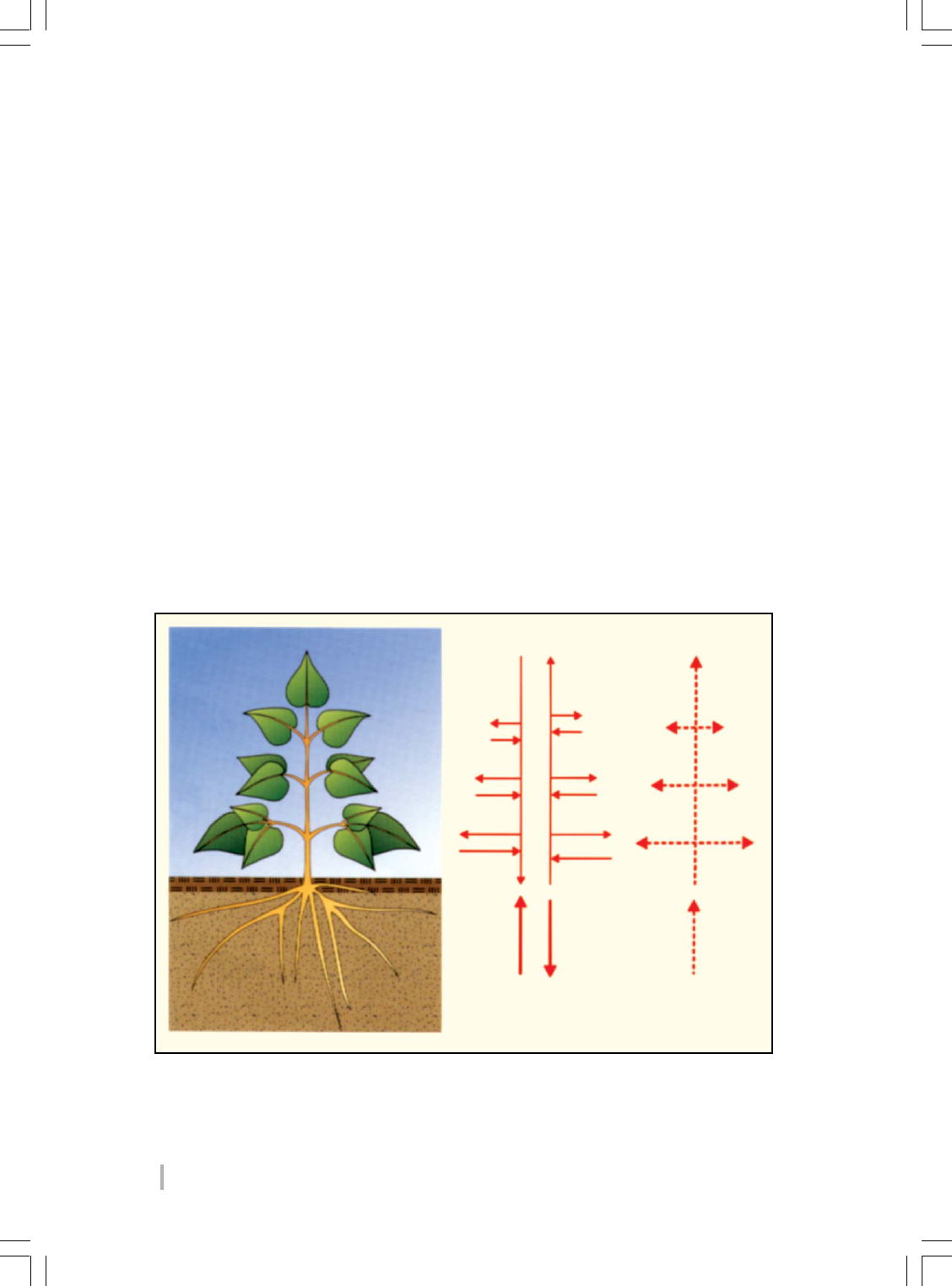 Grátis: Como funcionam os herbicidas - Material Claro e Objetivo em PDF  para Estudo Rápido