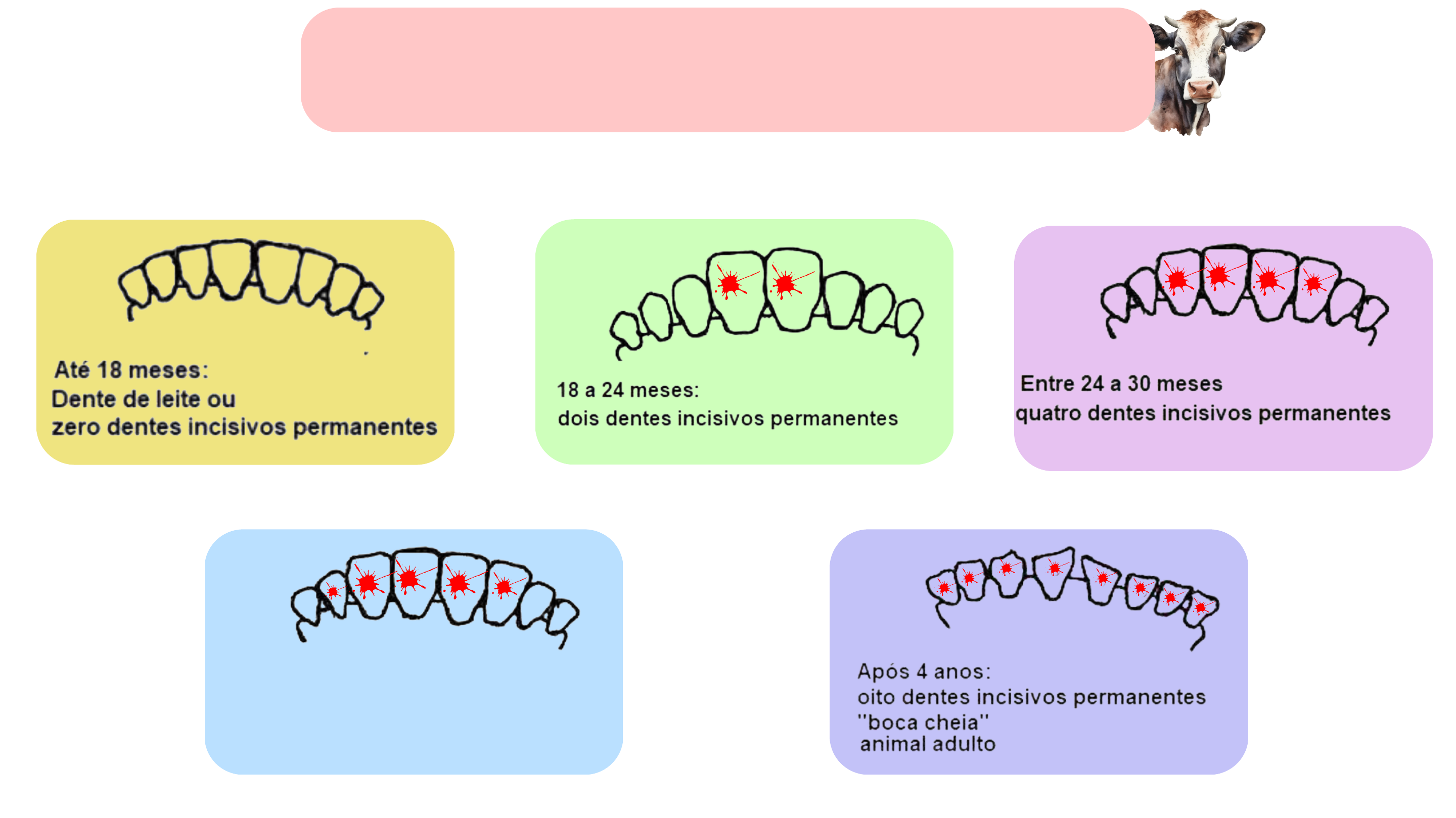 cronologia dentaria de equinos, bovinos e caprinos - Exterior e Julgamento