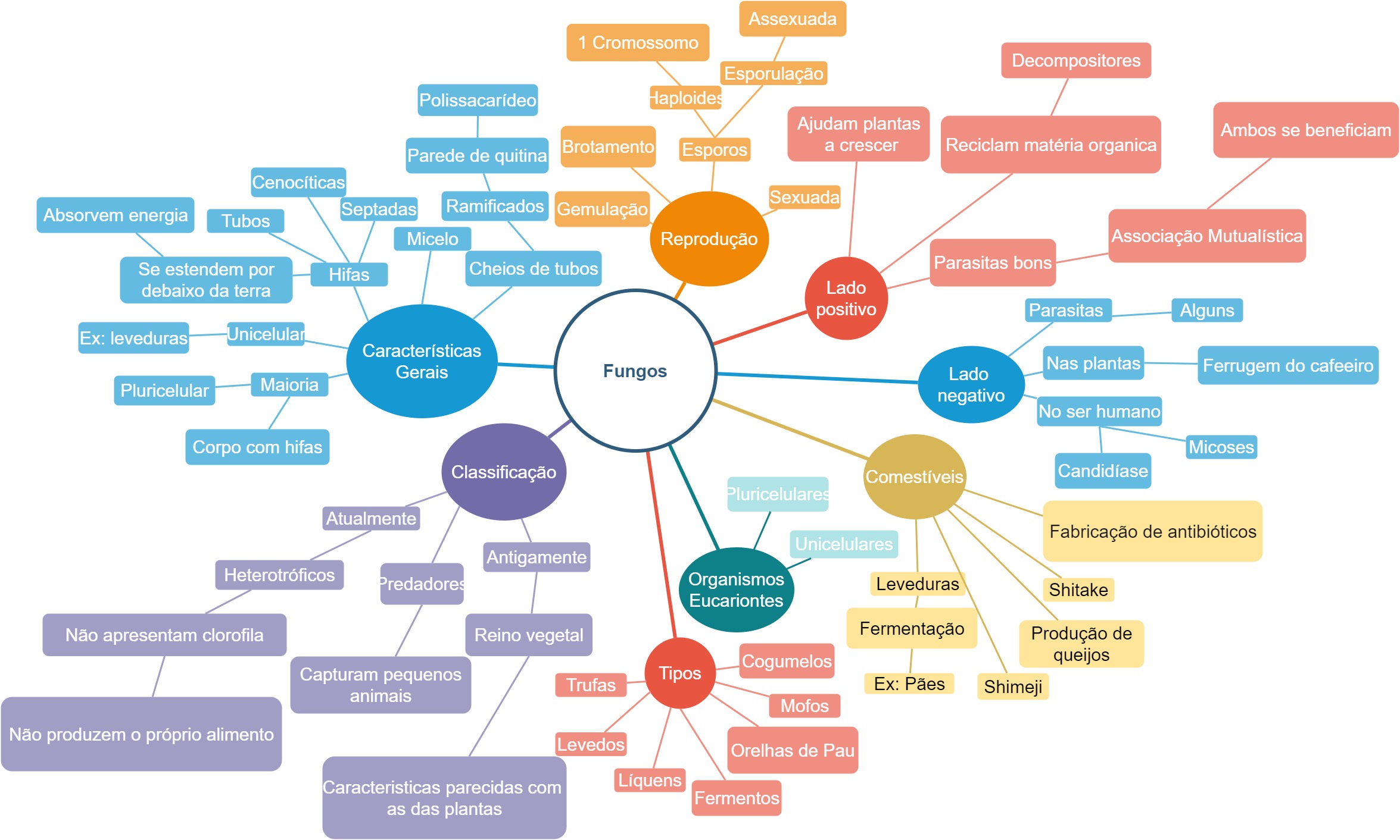 Mapa Mental Niveis De Organizacao Em Biologia Mapa Mental Biologia Images