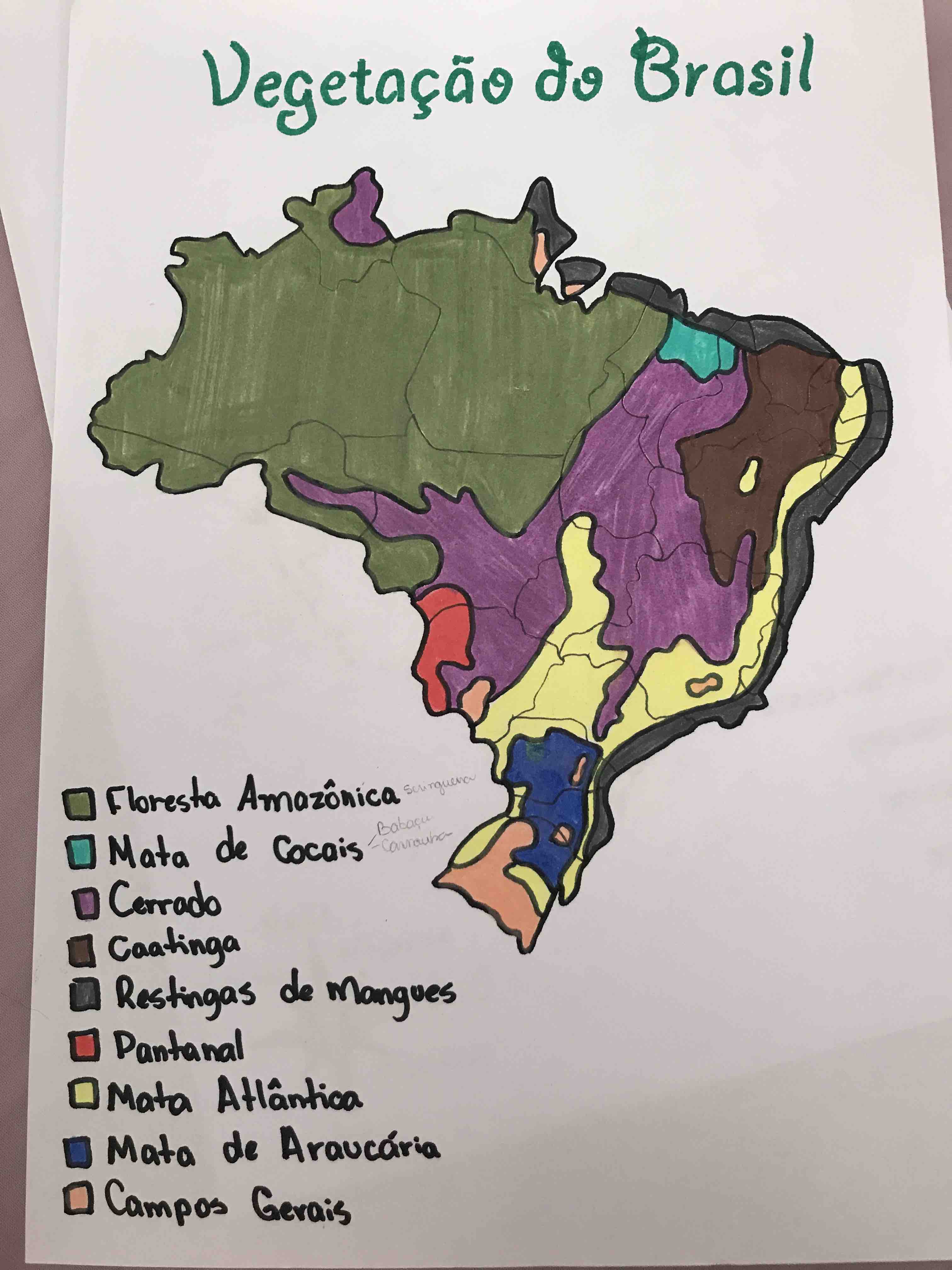 Brasil: Vegetação - Disciplina - Geografia