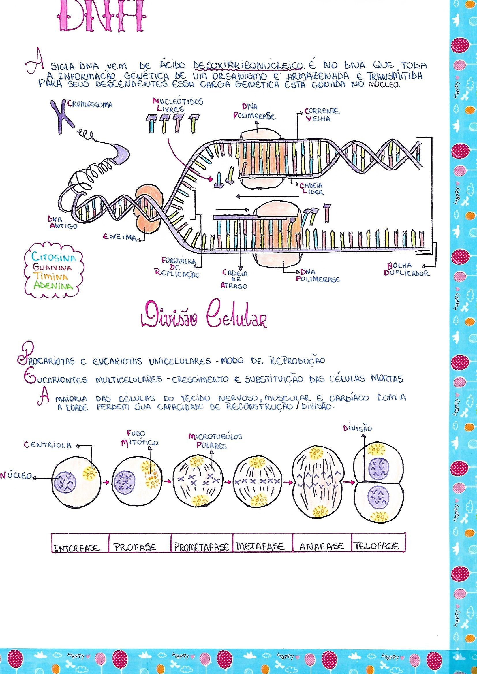 Mapas Mentais sobre DUPLICAÇÃO DO DNA - Study Maps  Duplicação do dna,  Replicação do dna, Transcrição e tradução