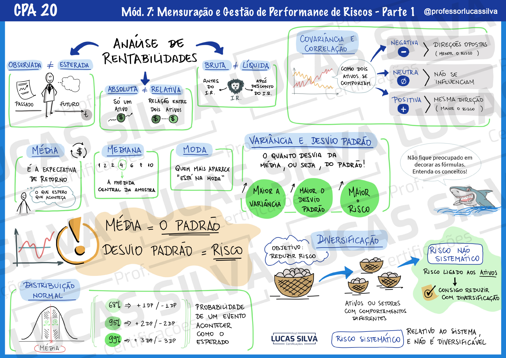 Mapa Mental Cpa20 5368