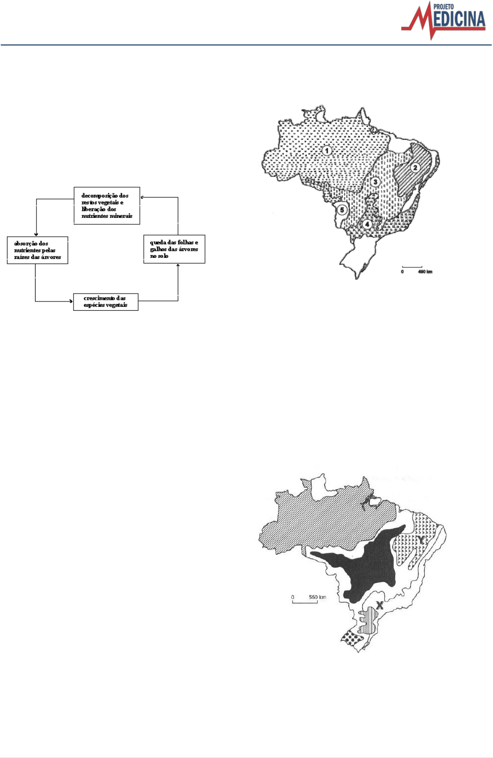 Fuvest-2001) No trajeto destacado no mapa, predominavam, até fins