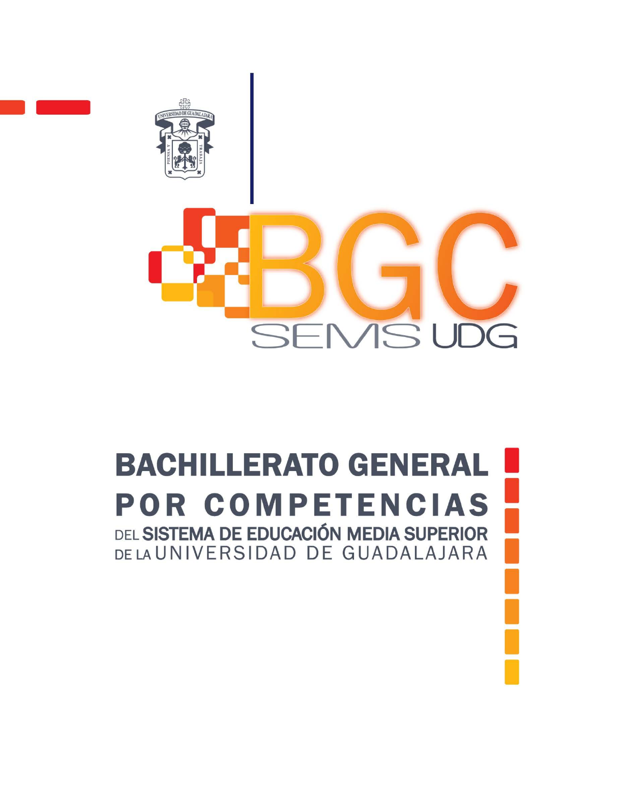 BGC-UDG-Documento-base-evaluado-COPEEMS - Engenharia Civil - 3