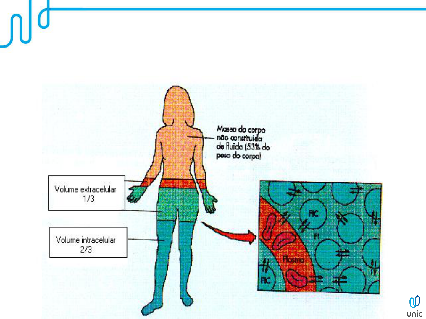 plano-de-aula-1-e-2-ano-image-to-u