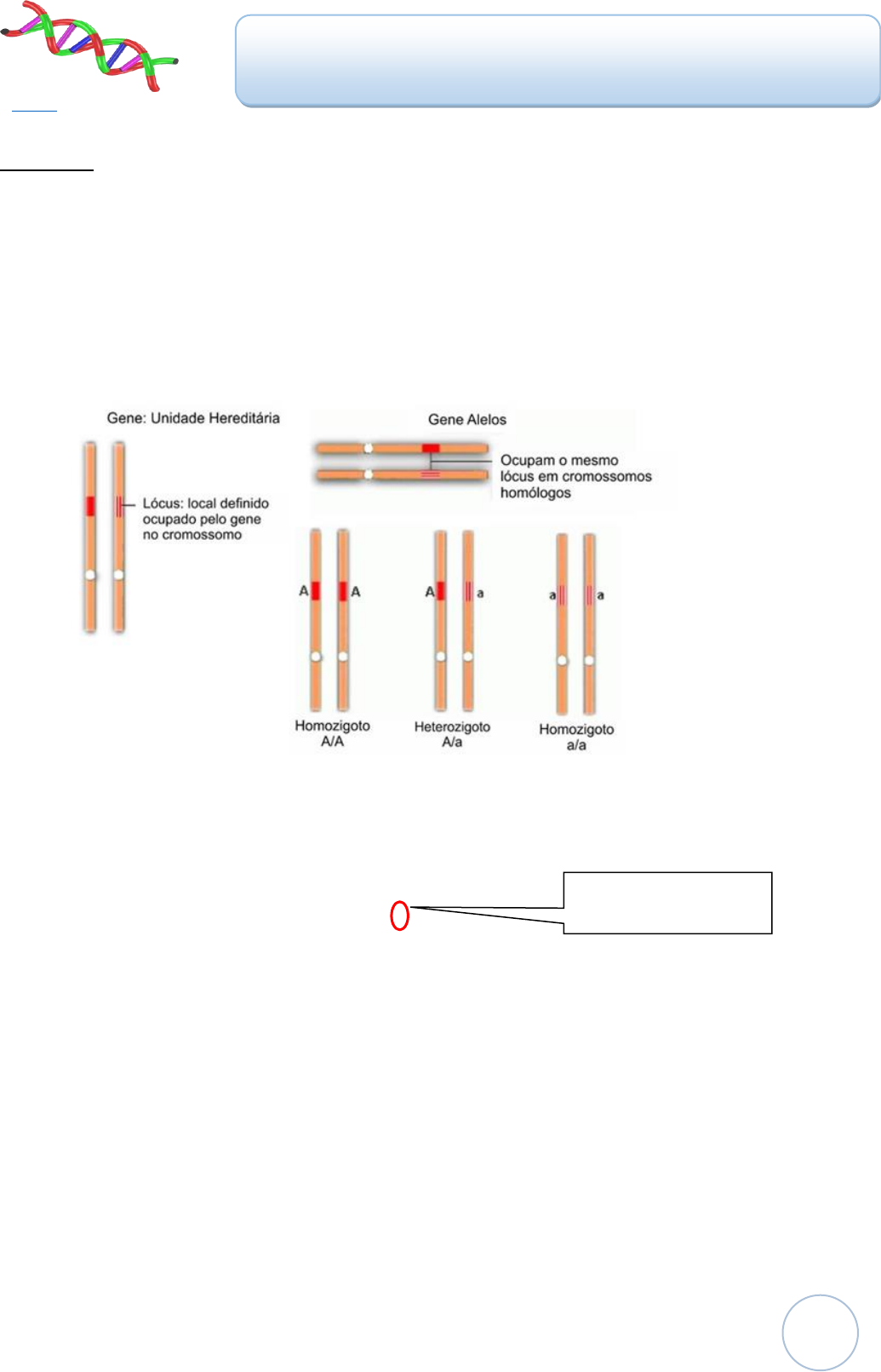 Grátis: GENÉTICA Resumo I - Material Claro e Objetivo em PDF para Estudo  Rápido, image size:1035x1611